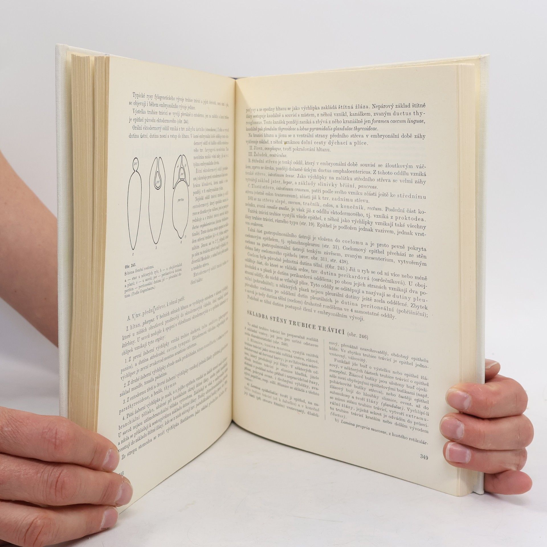 Ladislav Borovanský Soustavná anatomie člověka I