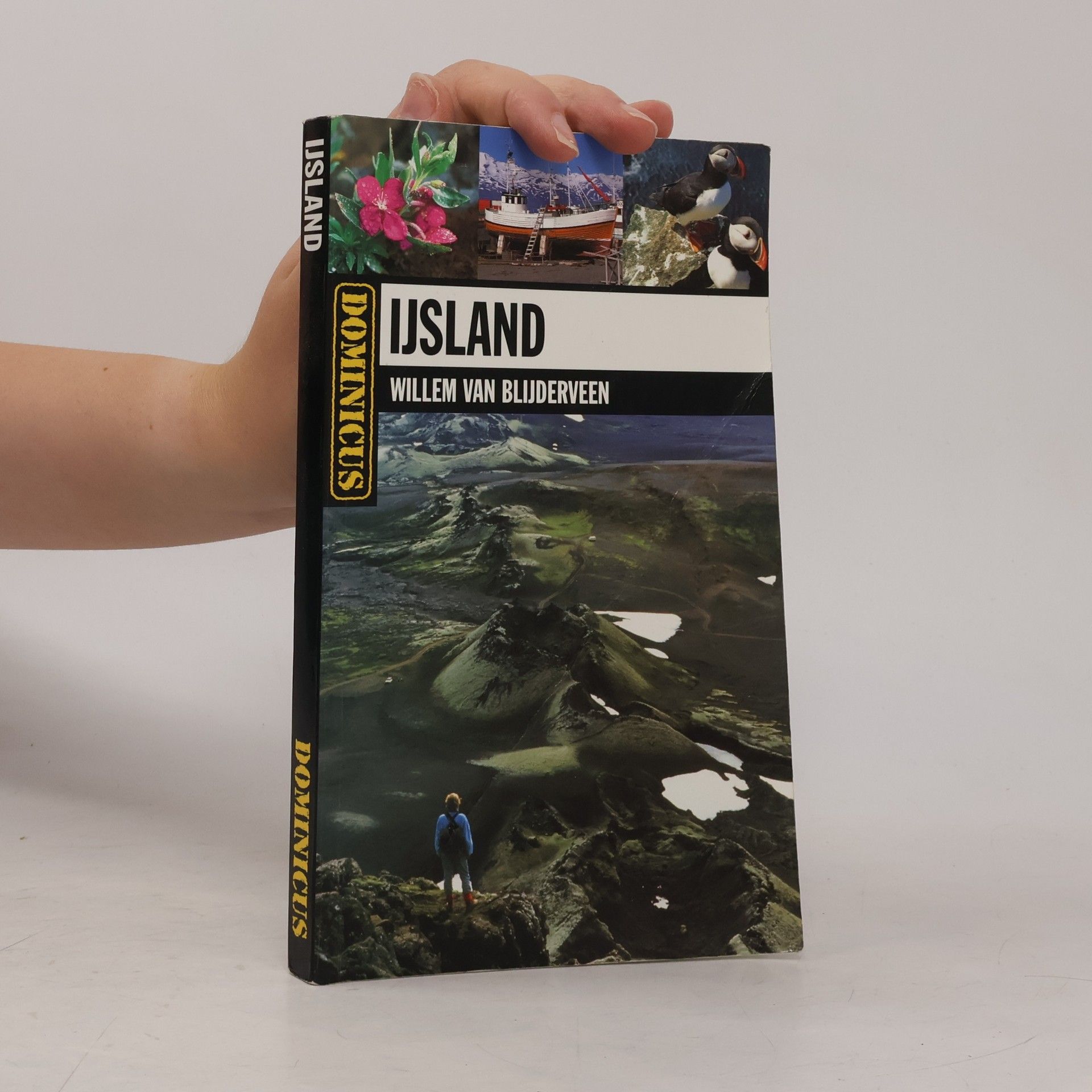 Willem van Blijderveen Dominicus: IJsland