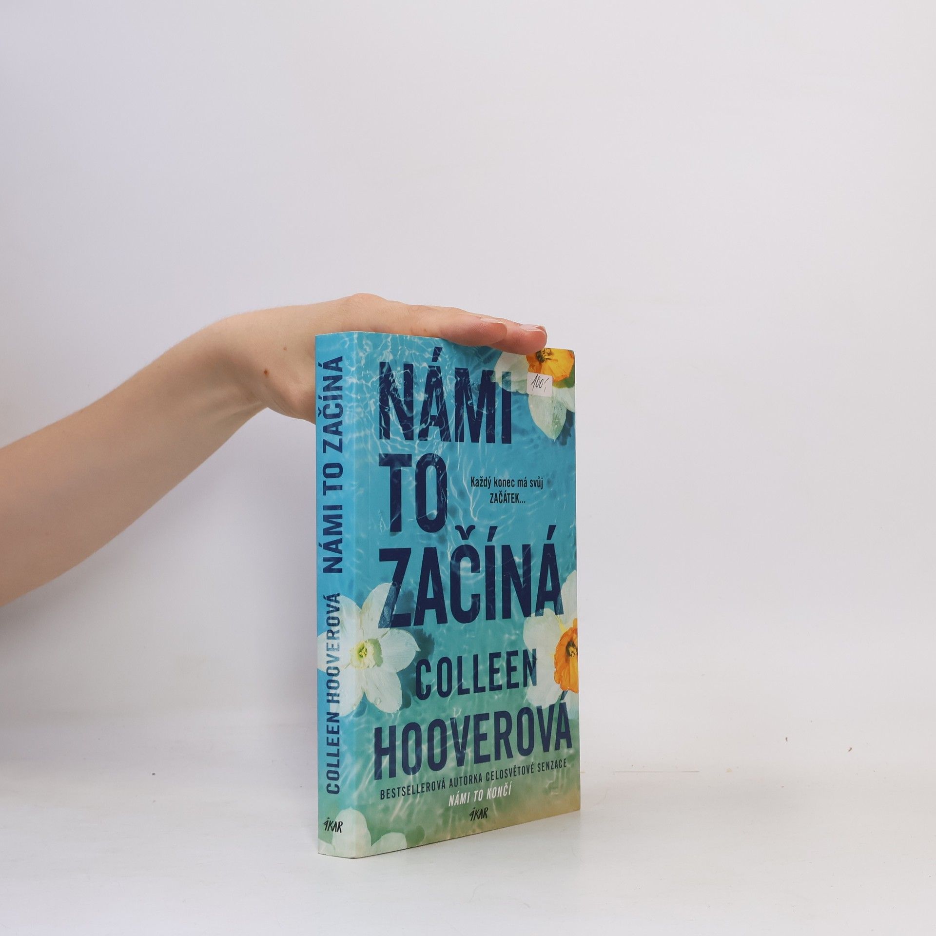 Colleen Hoover Námi to začíná