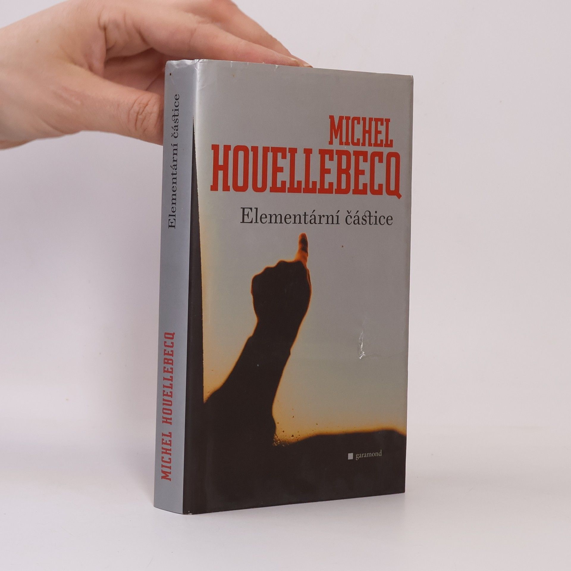 Michel Houellebecq Elementární částice