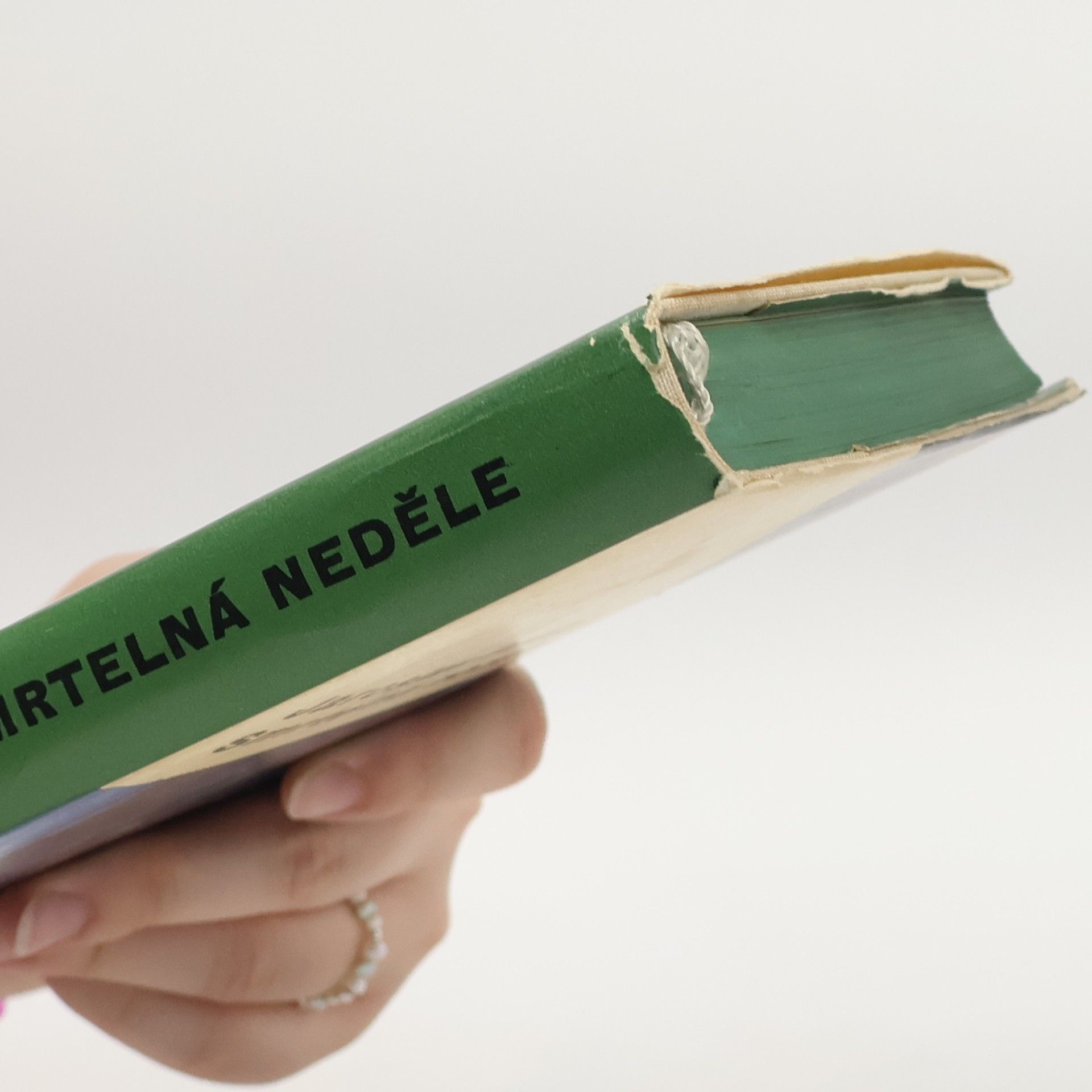 Jaroslav Putík Smrtelná neděle