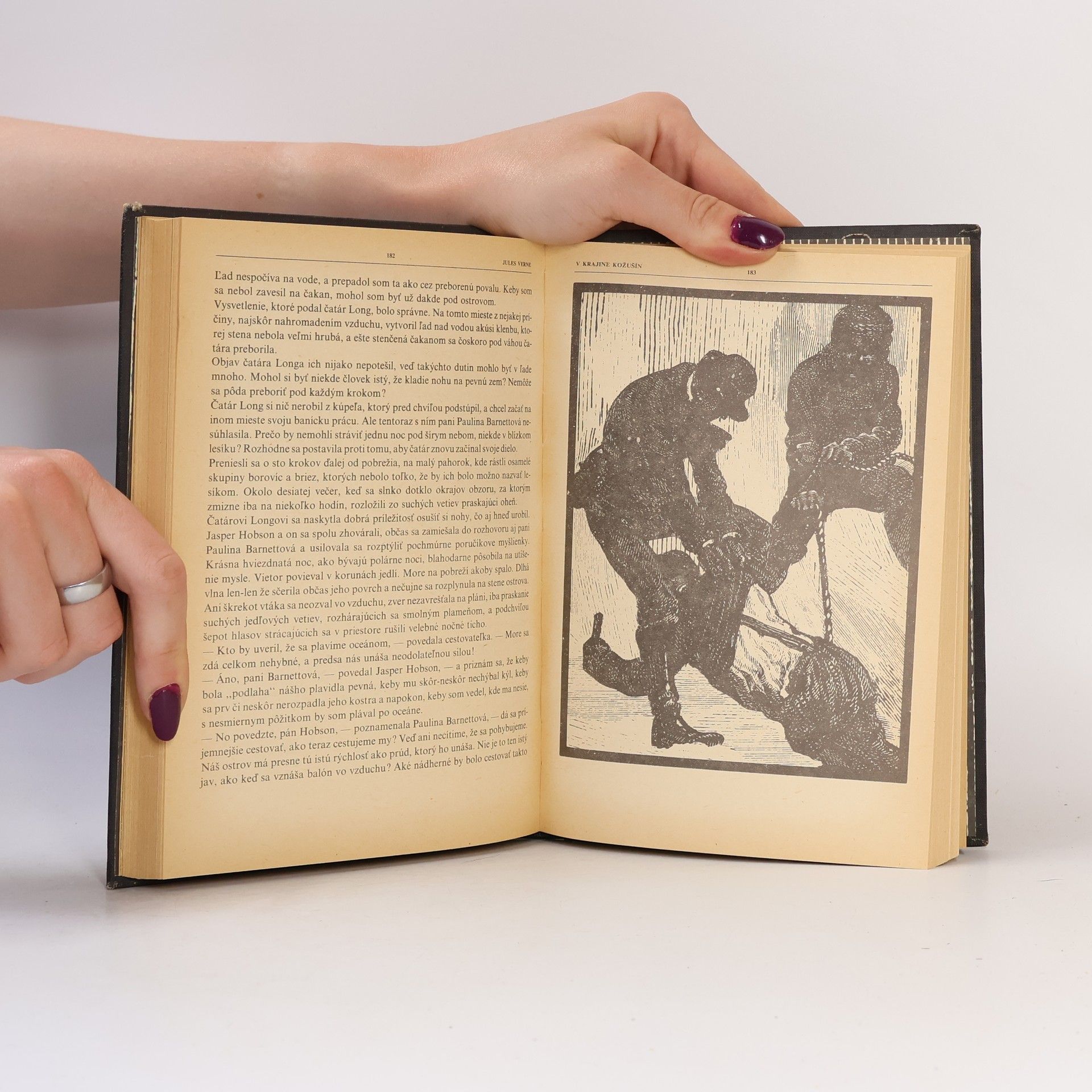 Jules Verne V krajine kožušín