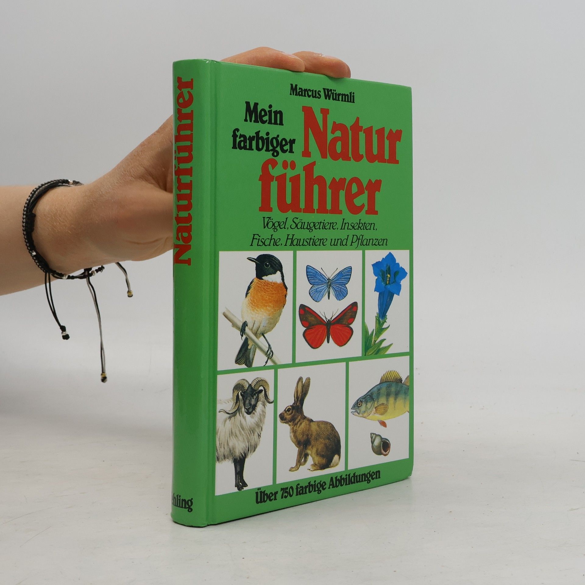 Marcus Würmli Mein farbiger Naturführer