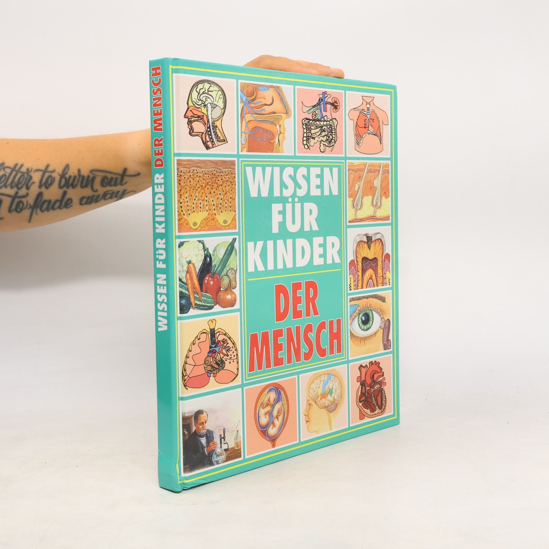 Trevor Day Wissen für Kinder. Der Mensch