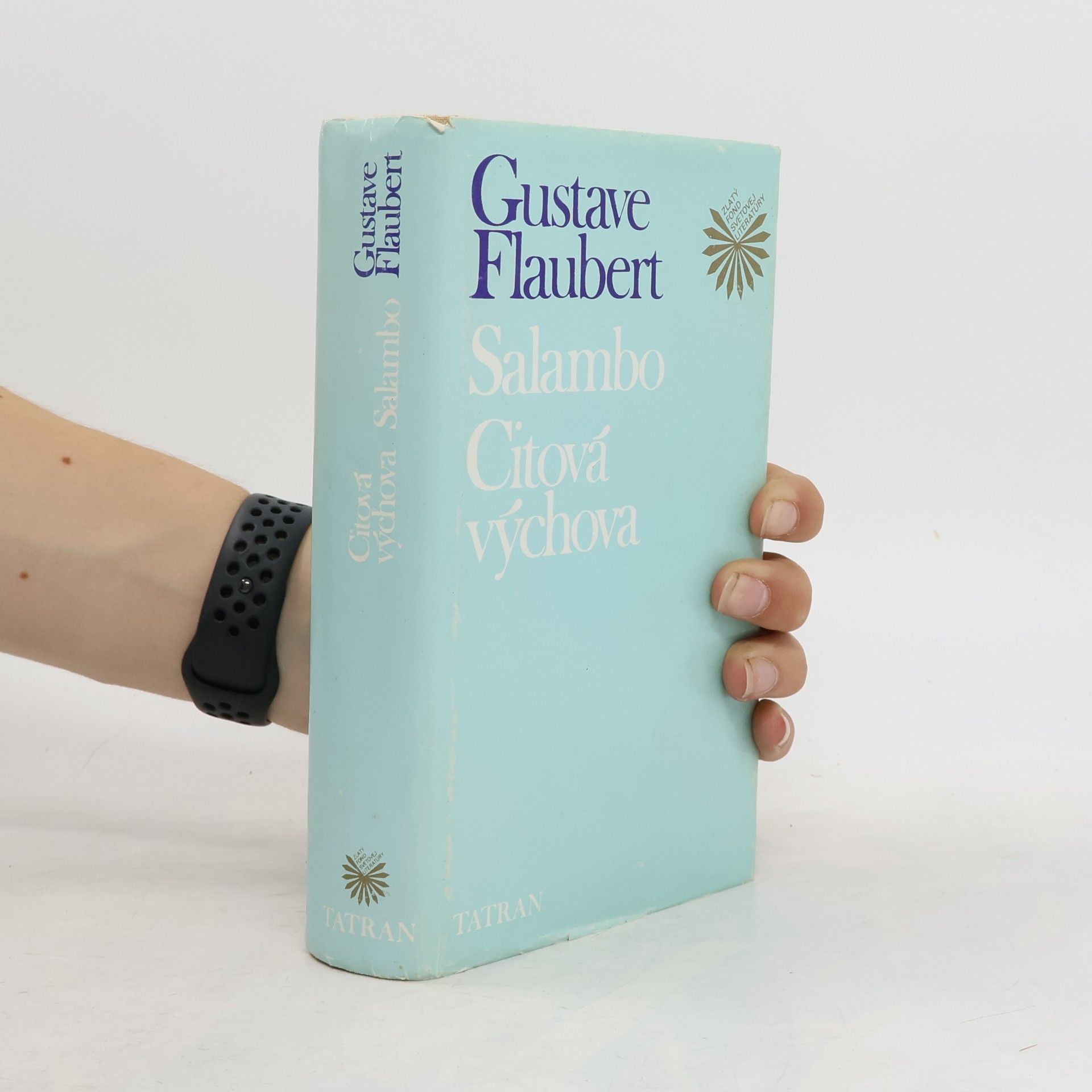 Gustave Flaubert Salambo. Citová výchova