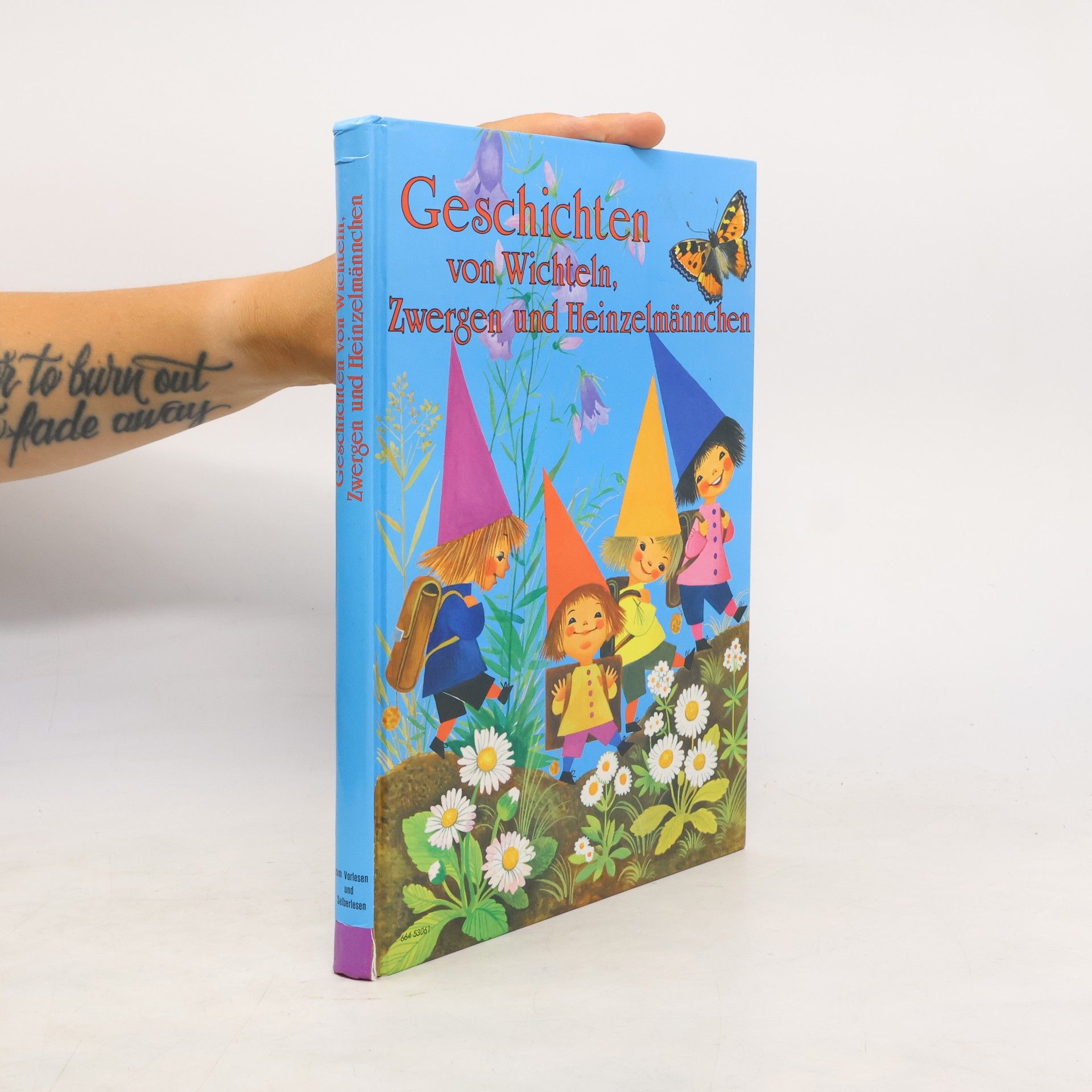Gisela Fischer-Lingat Geschichten von Wichteln, Zwergen und Heinzelmännchen