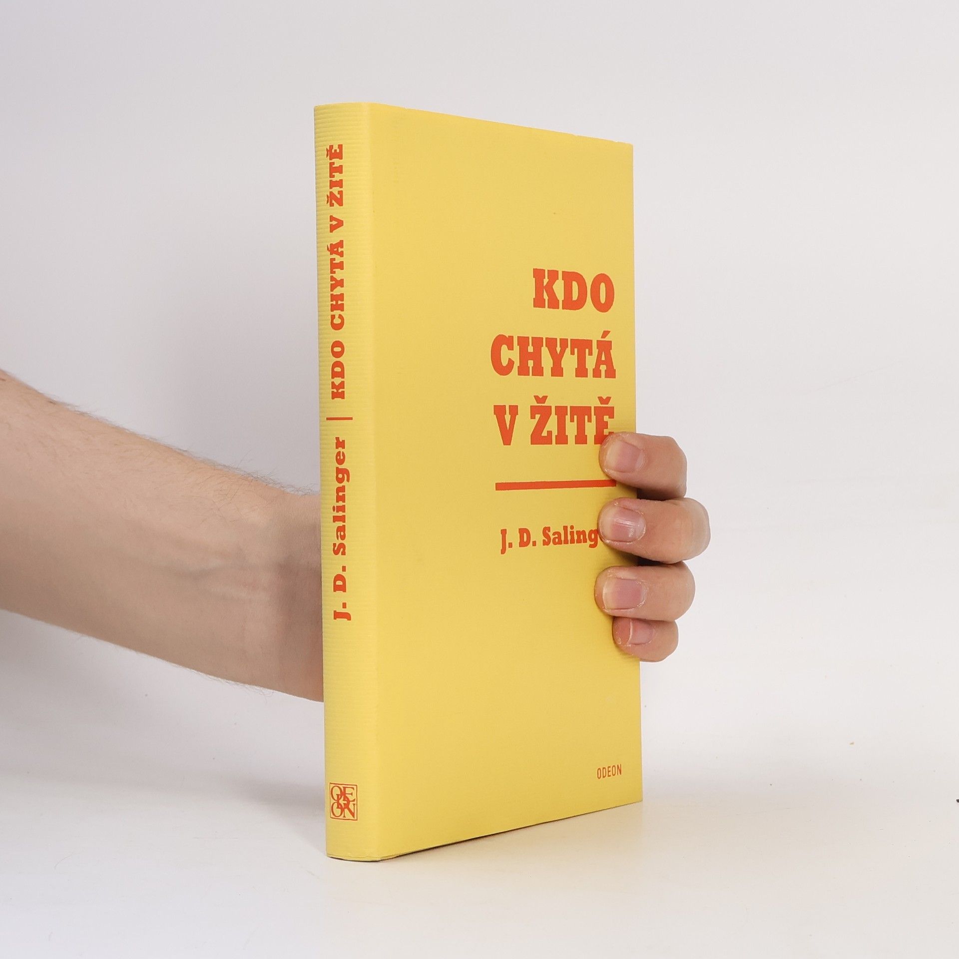 J. D. Salinger Kdo chytá v žitě