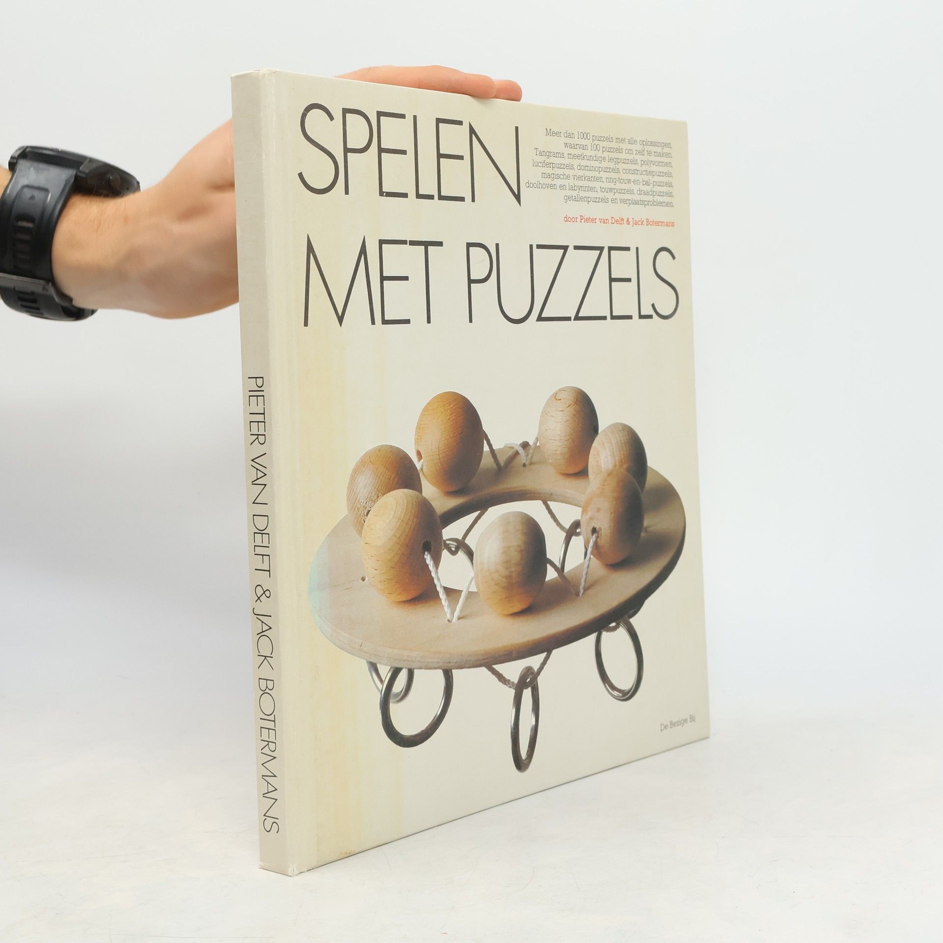 Pieter van Delft Spelen met puzzels
