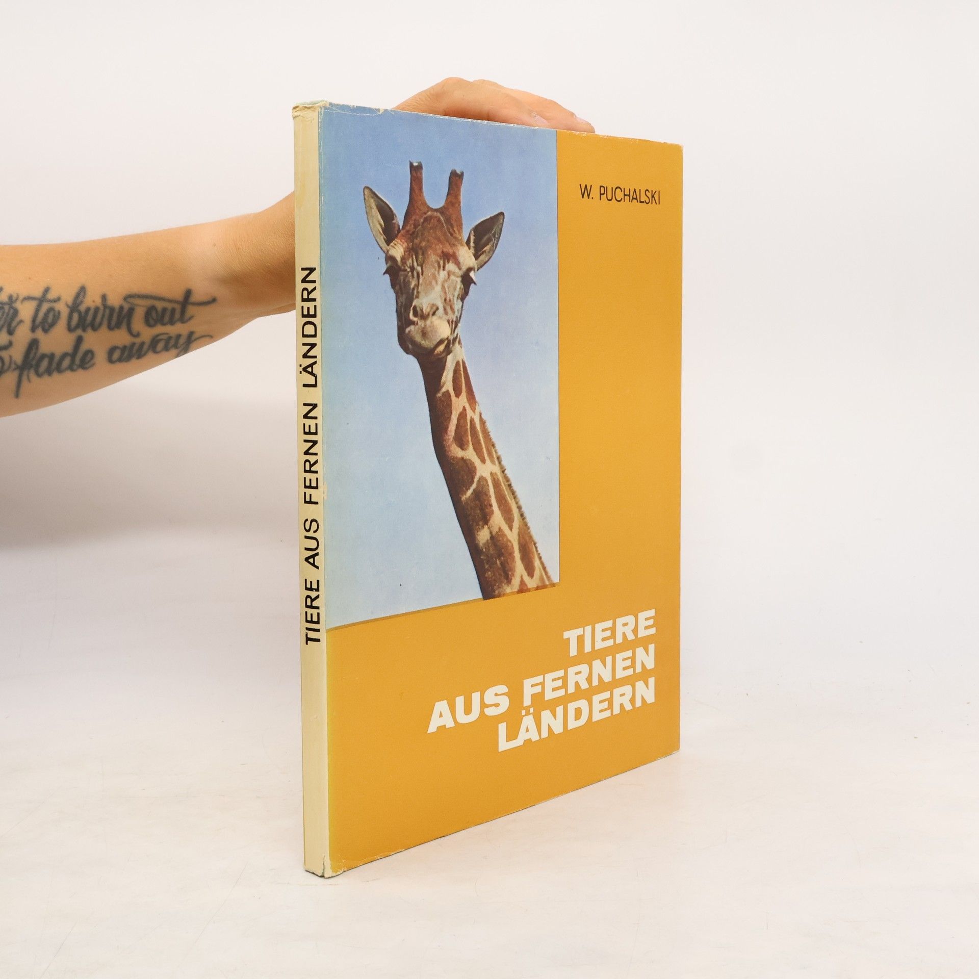 Autorenkollektiv Tiere aus Fernen Ländern