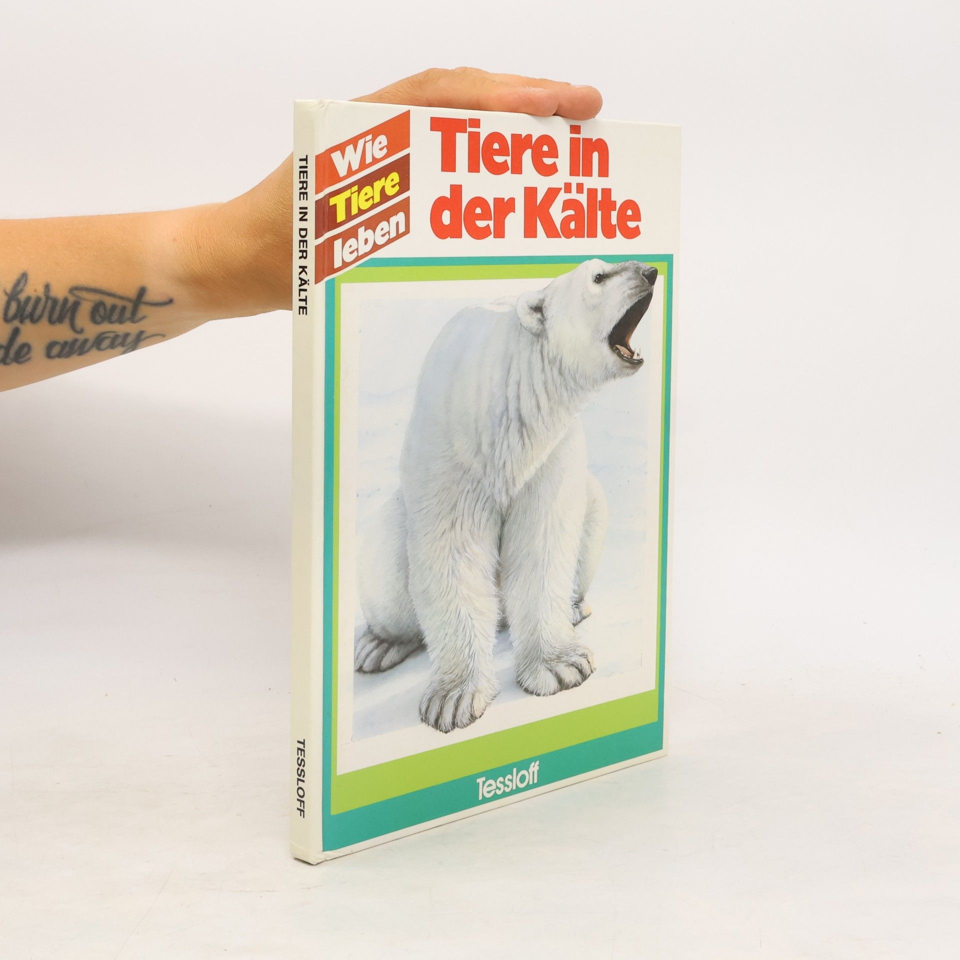 Tiere in der Kälte