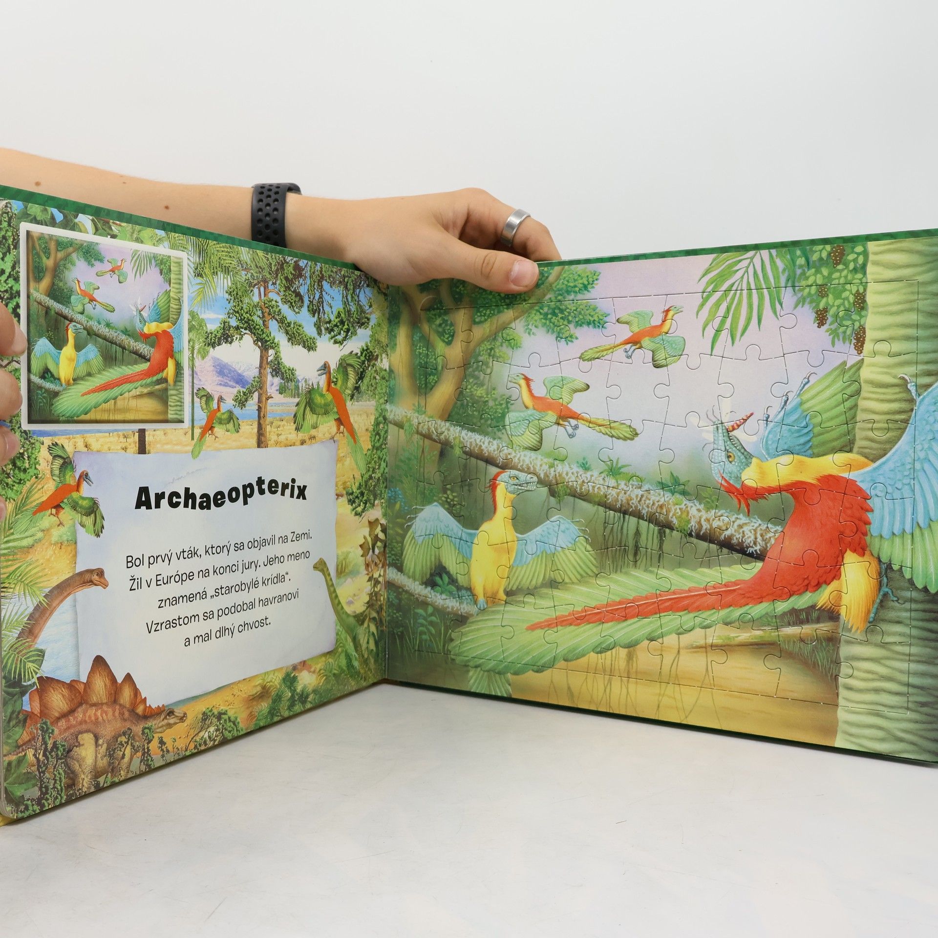 Various authors Puzzle s dinosaurami