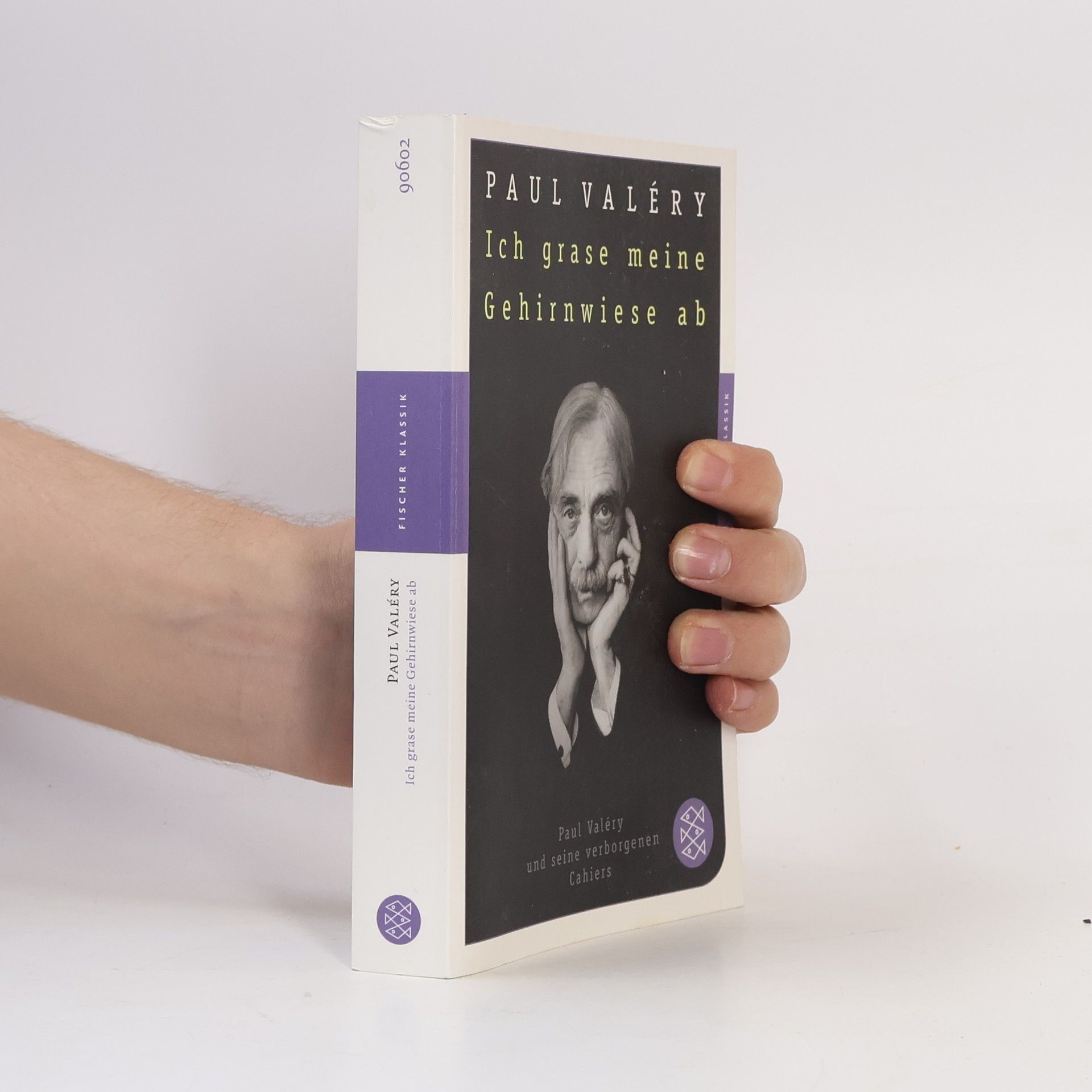 Paul Valéry Ich grase meine Gehirnwiese ab