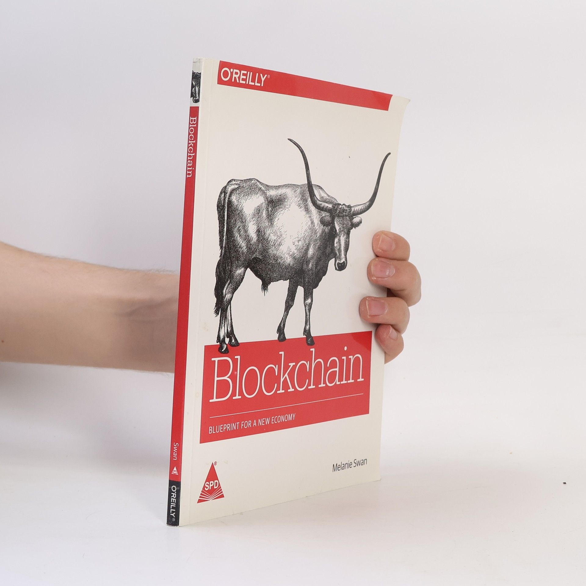 Melanie Swan Blockchain