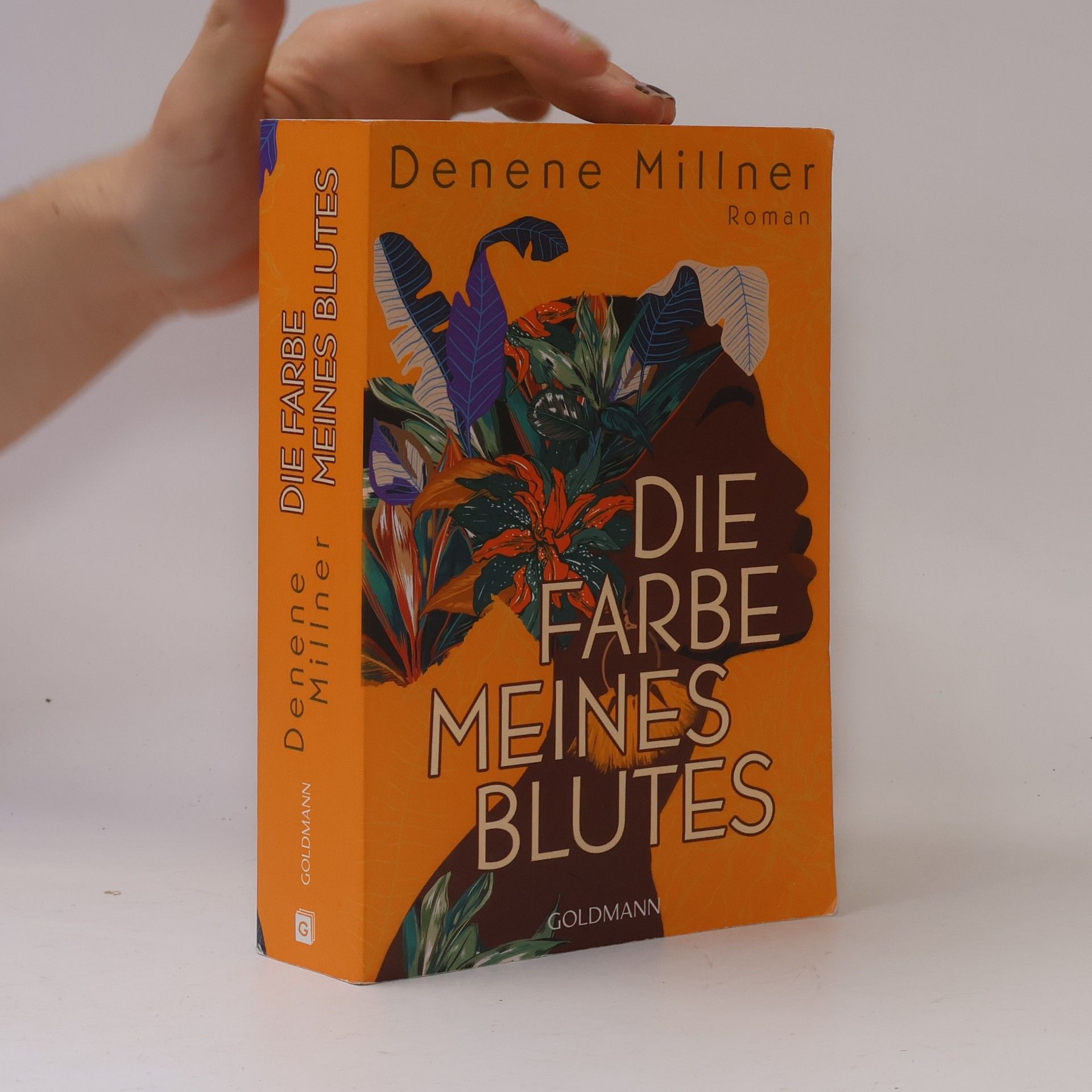 Denene Millner Die Farbe meines Blutes