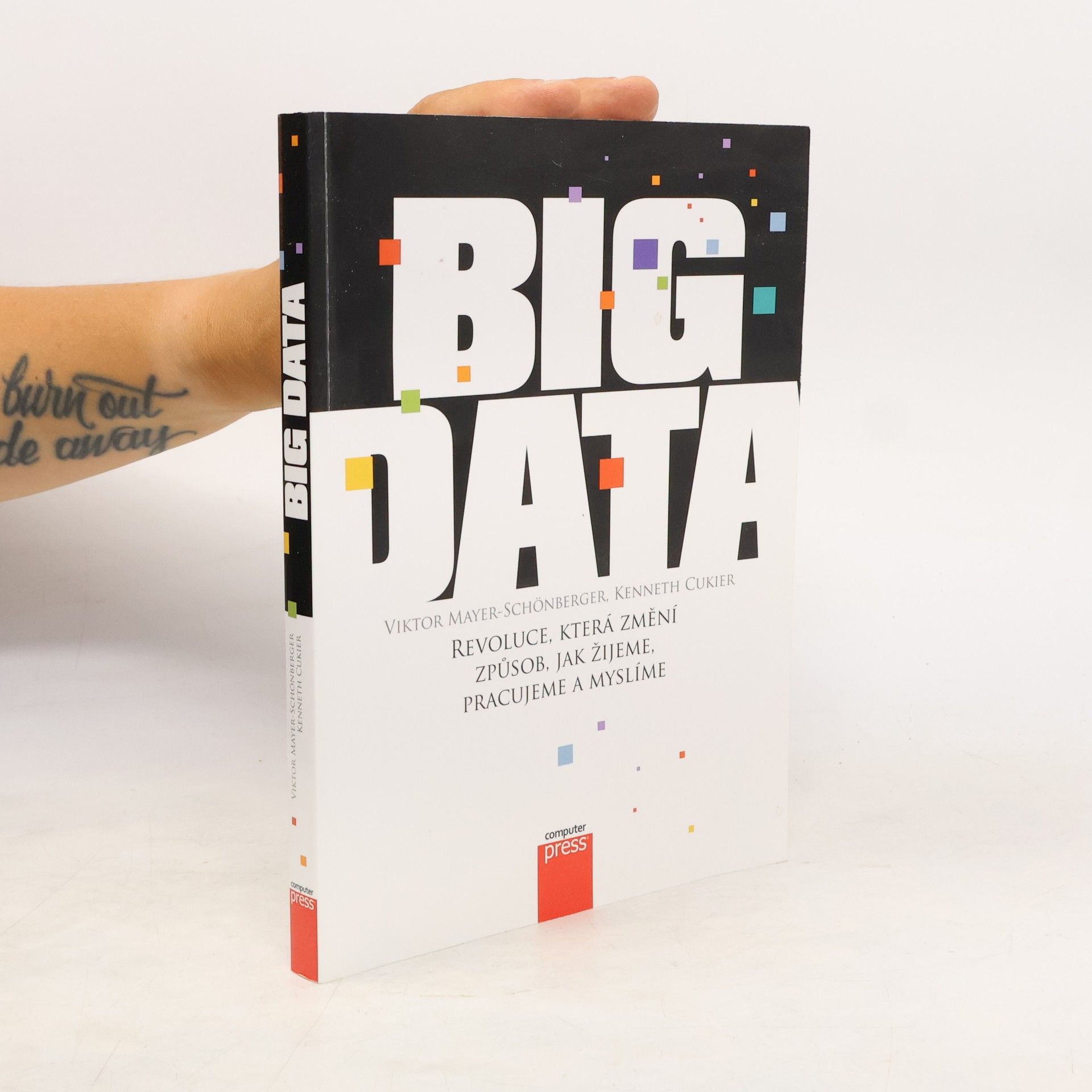 Viktor Mayer-Schönberger Big Data