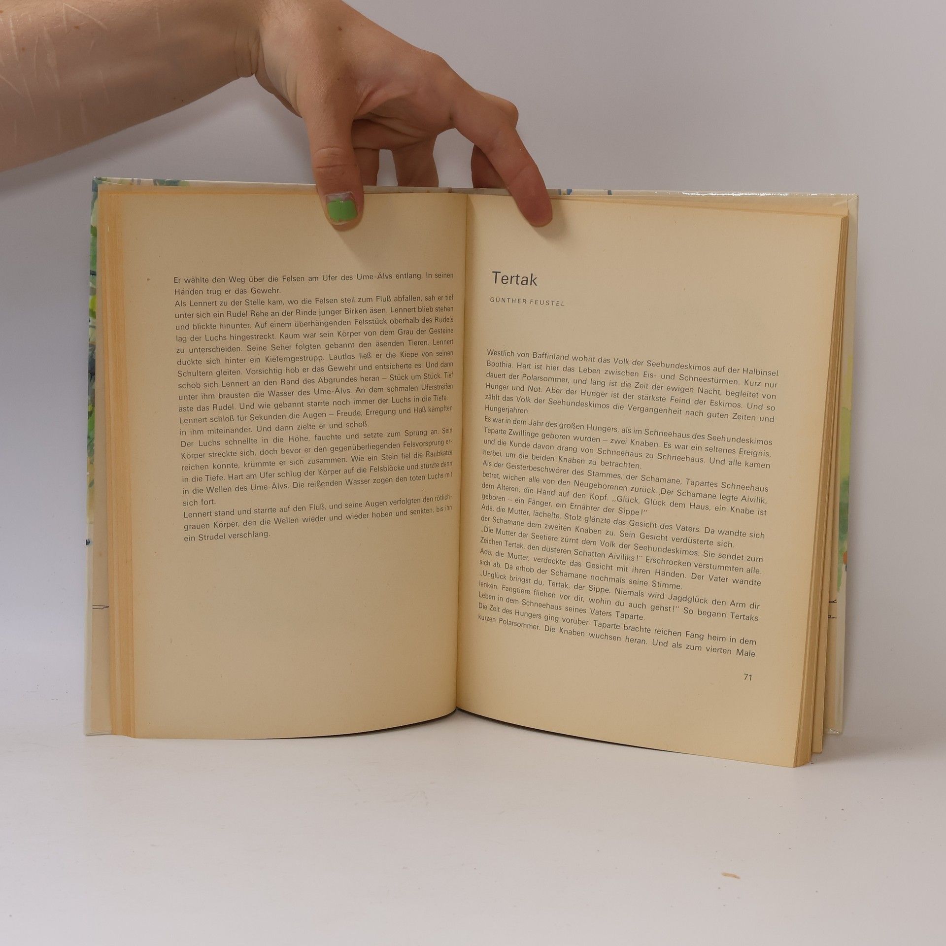 Autores varios Teduk und der Panther