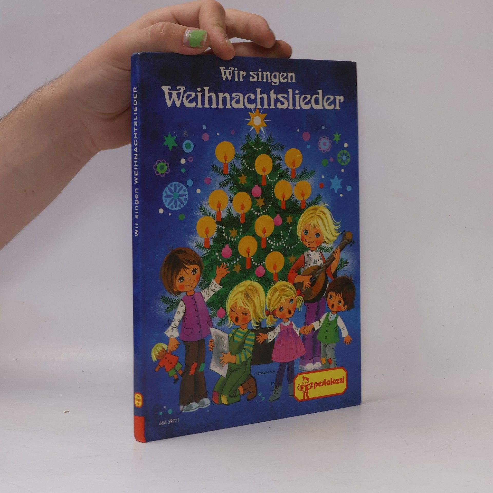 Kolektiv autorů Wir singen Weihnachtslieder