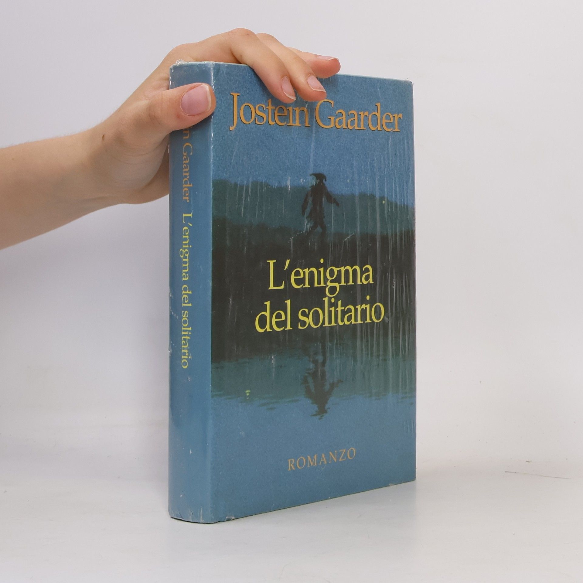 Jostein Gaarder L'enigma del solitario