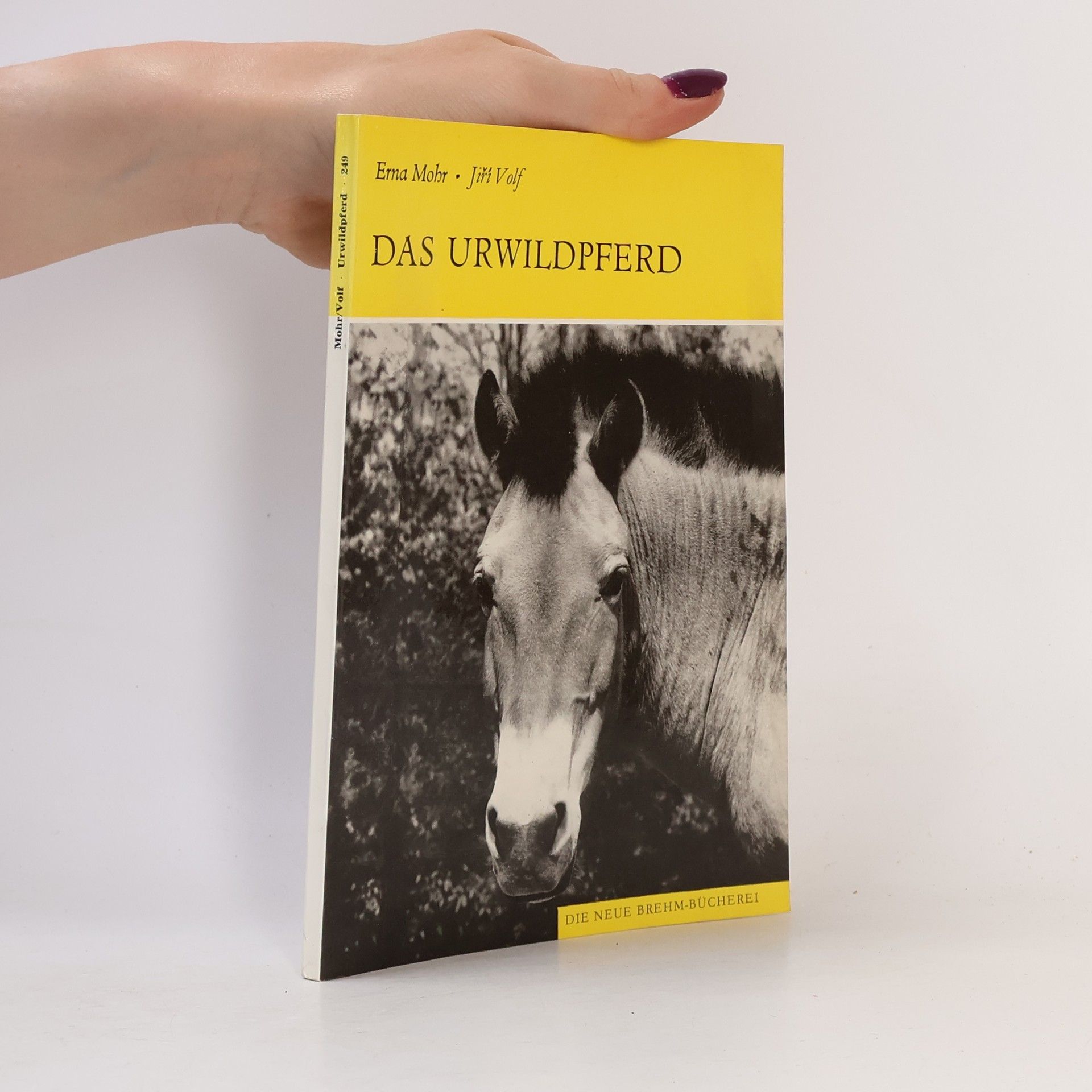 Erna Mohr Das Urwildpferd
