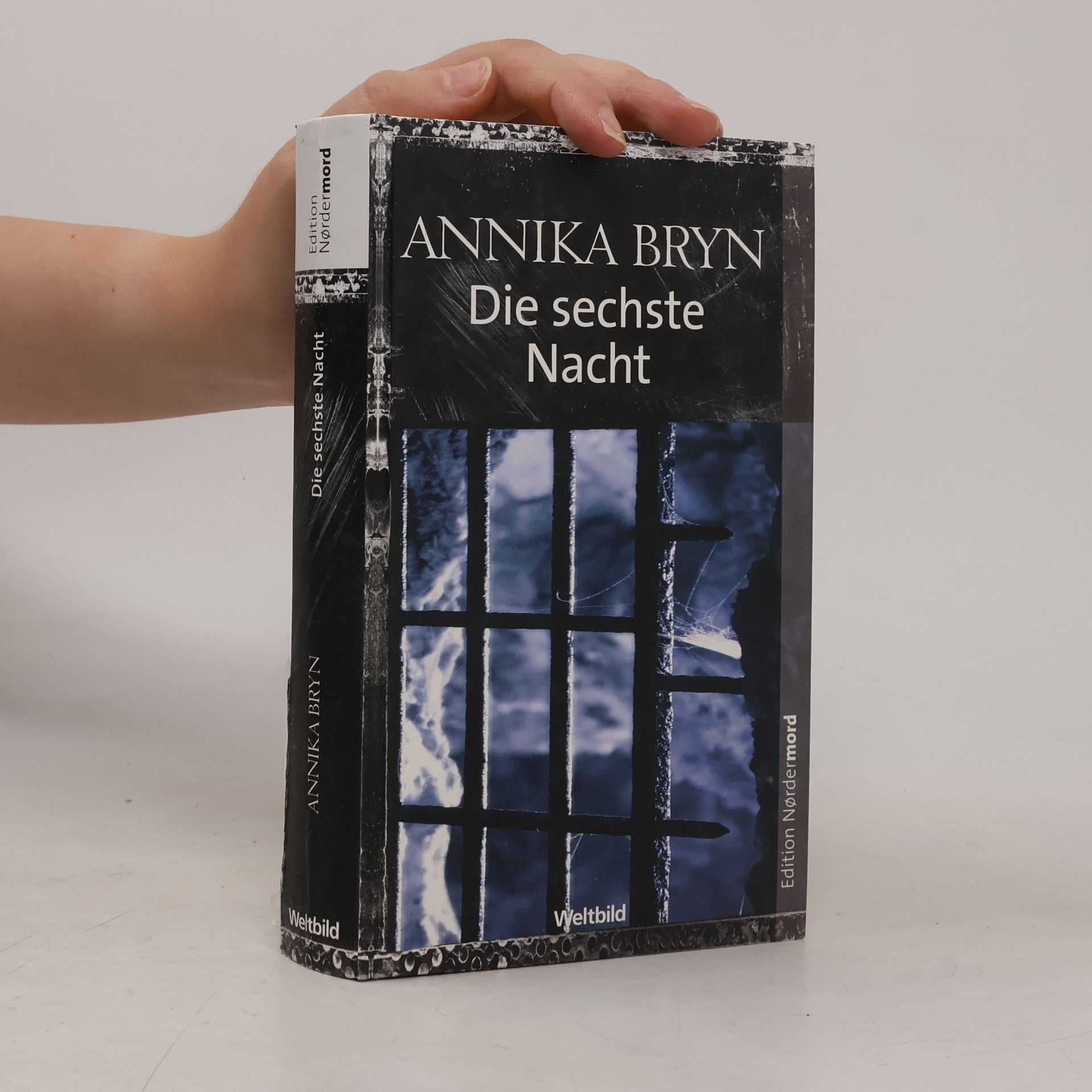 Annika Bryn Die sechste Nacht