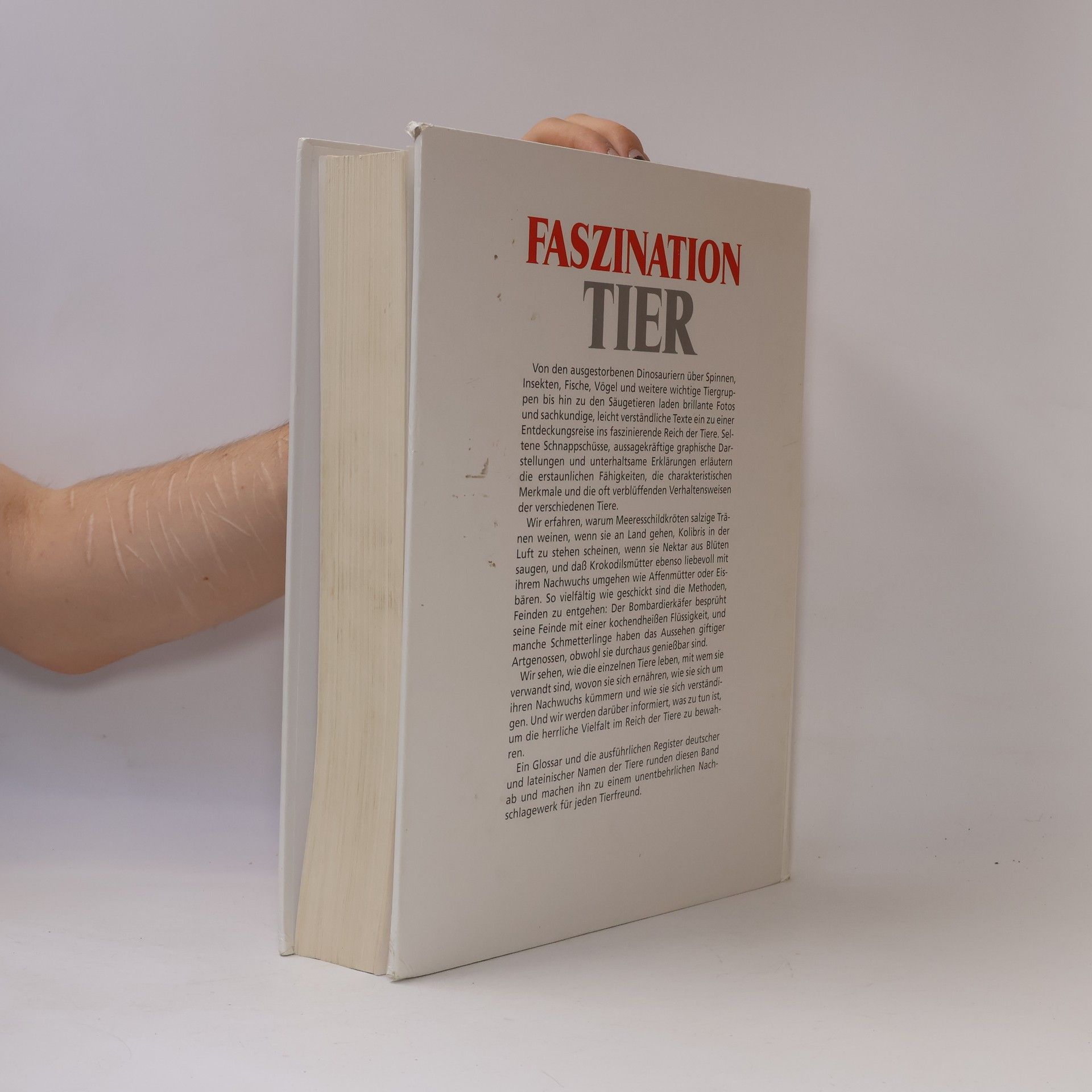 Kolektiv autorů Faszination Tier
