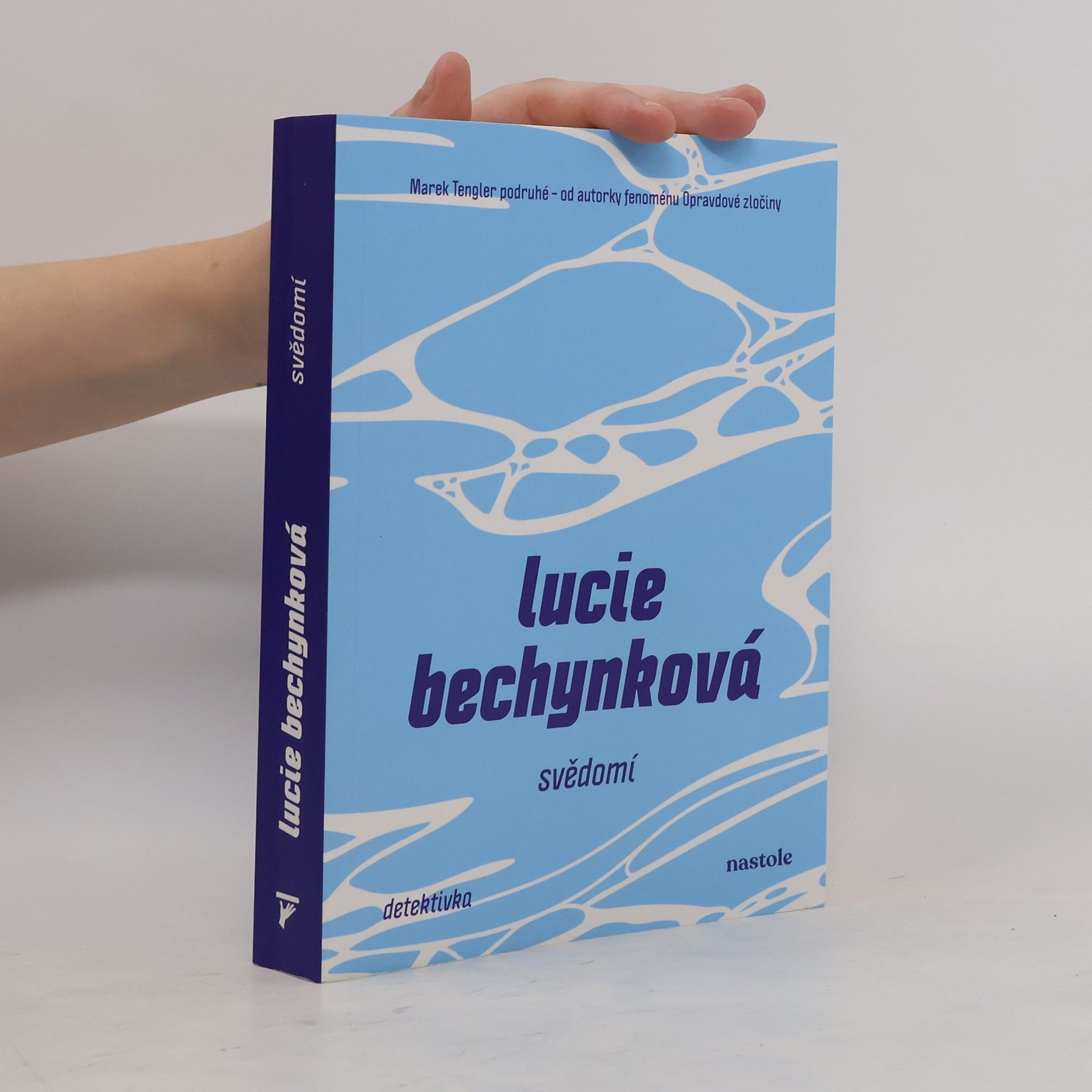 Lucie Bechynková Svědomí