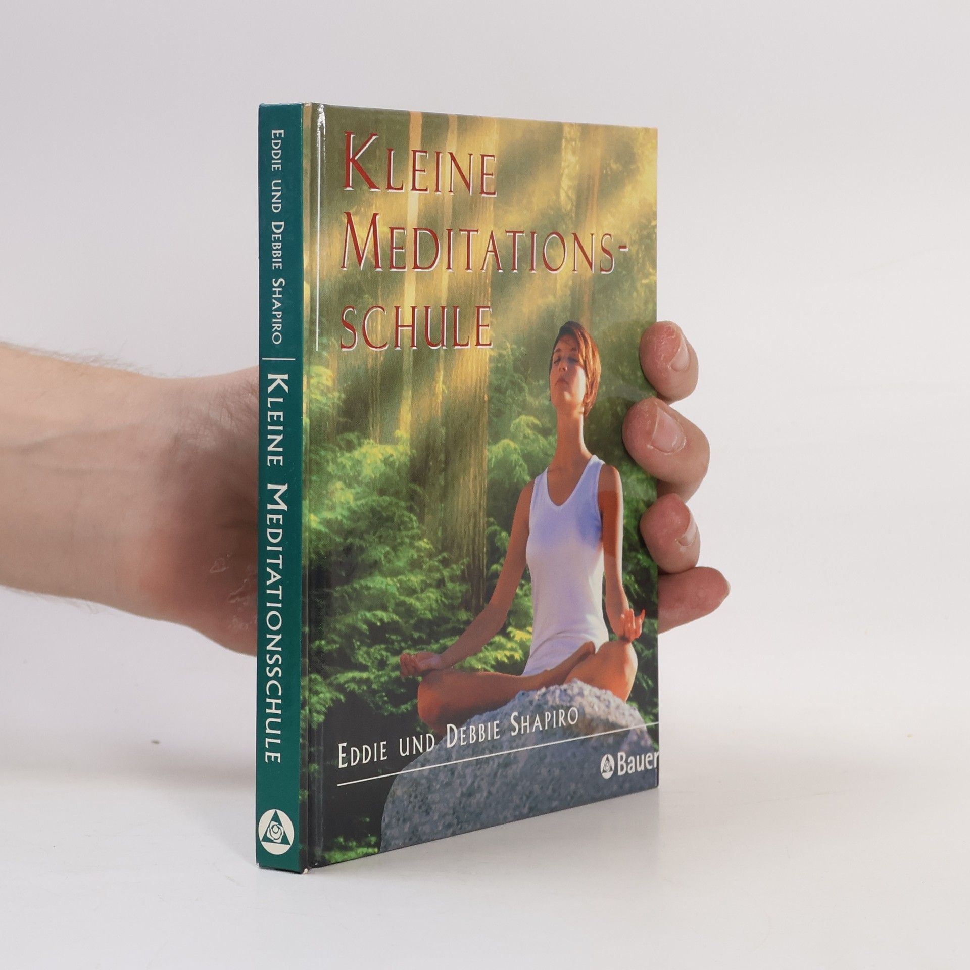 Eddie Shapiro Kleine Meditationsschule