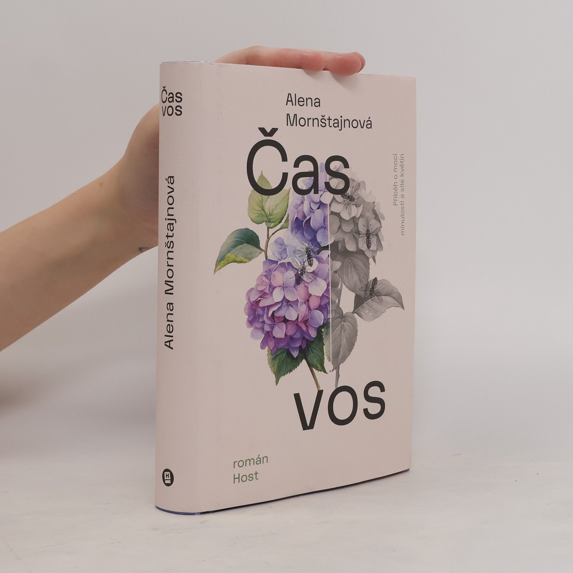 Alena Mornštajnová Čas vos