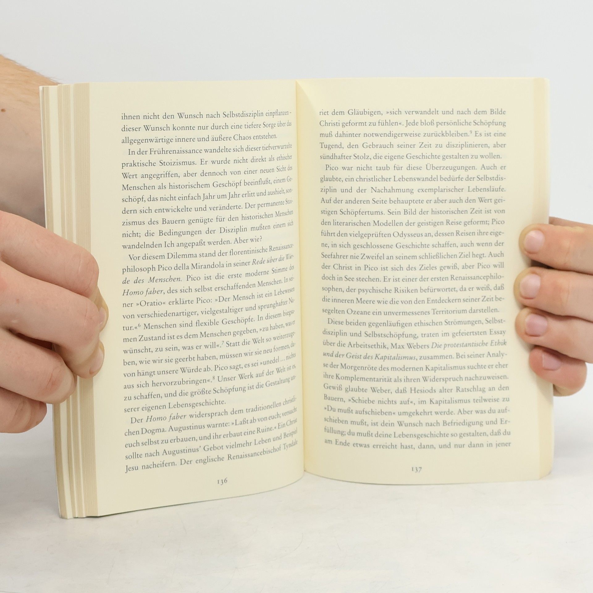 Richard Sennett Der flexible Mensch