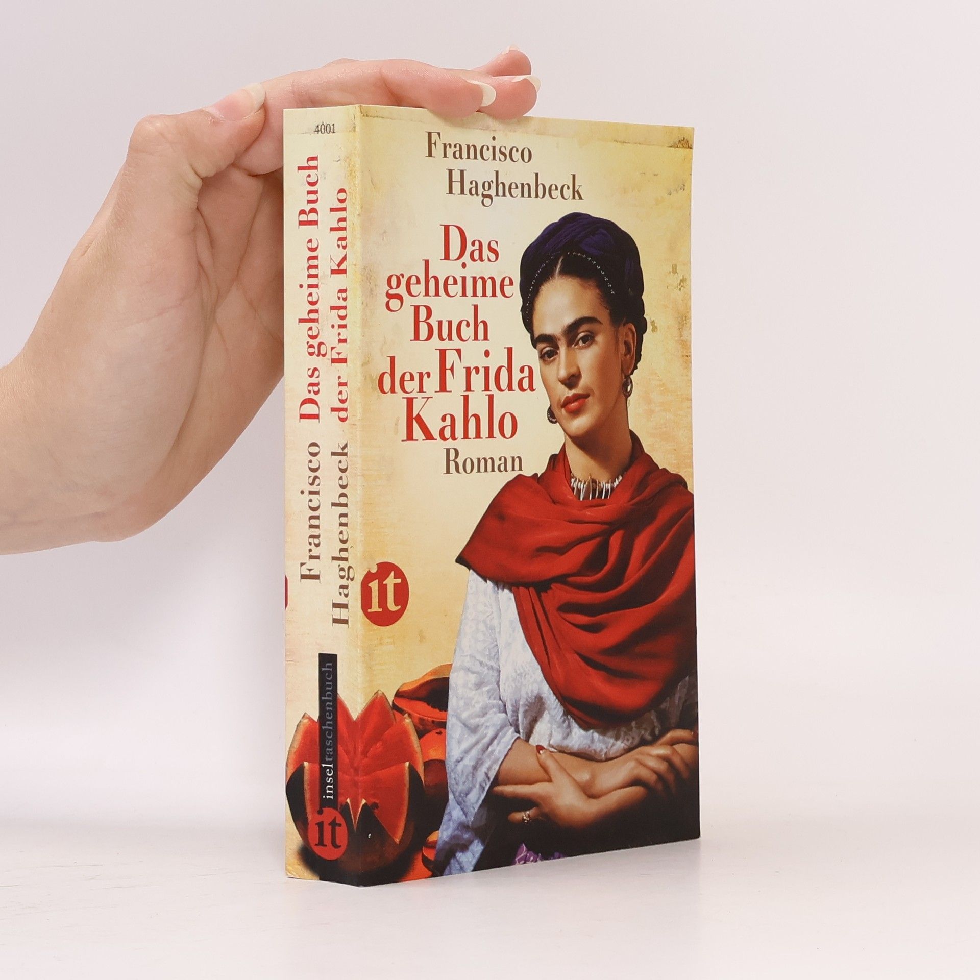 Francisco Haghenbeck Das geheime Buch der Frida Kahlo