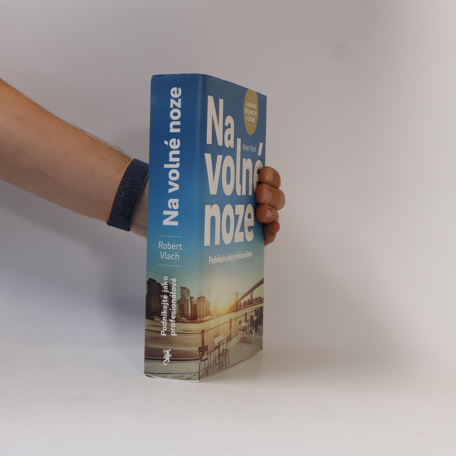 Robert Vlach Na volné noze