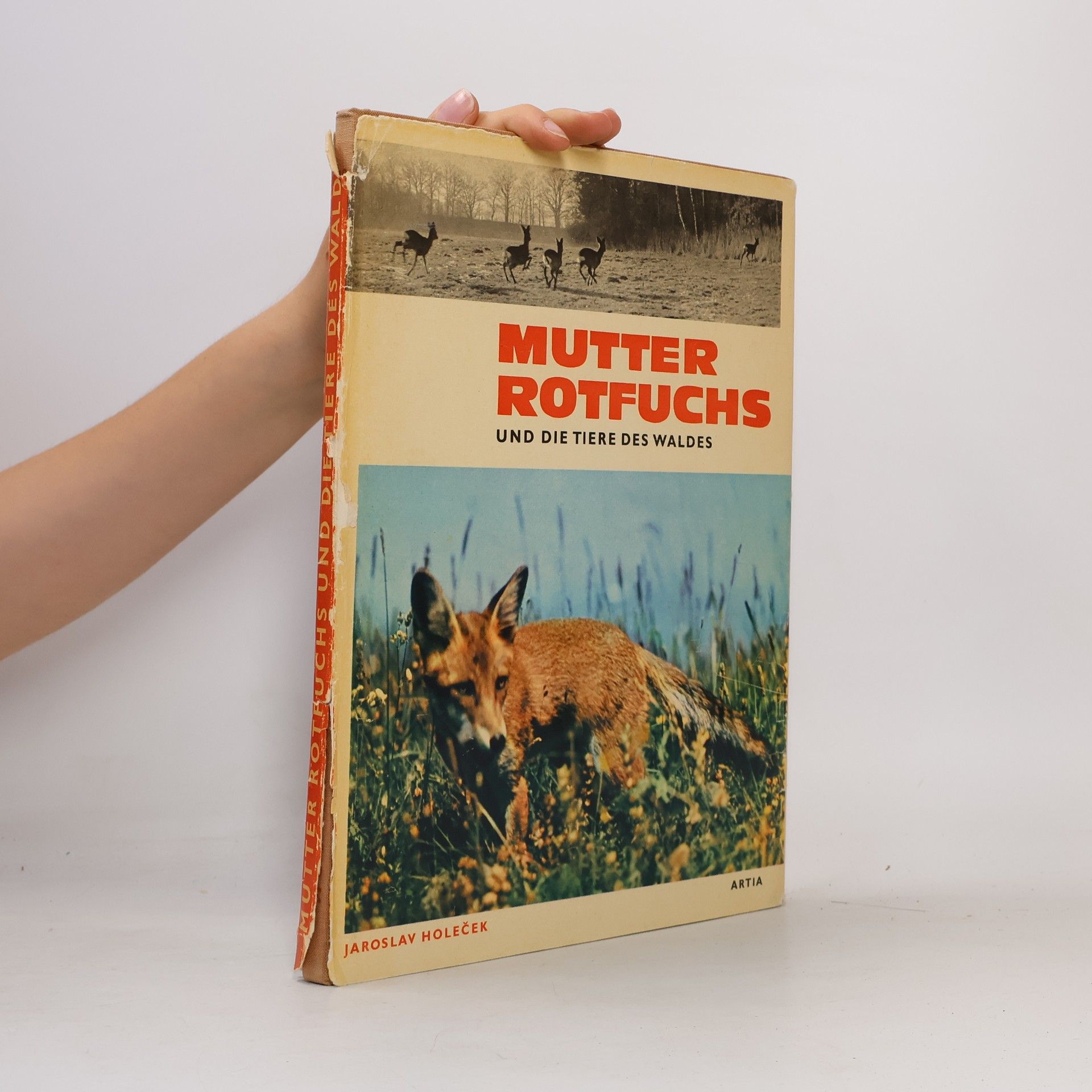 AA.VV. Mutter Rotfuchs und die Tiere des Waldes