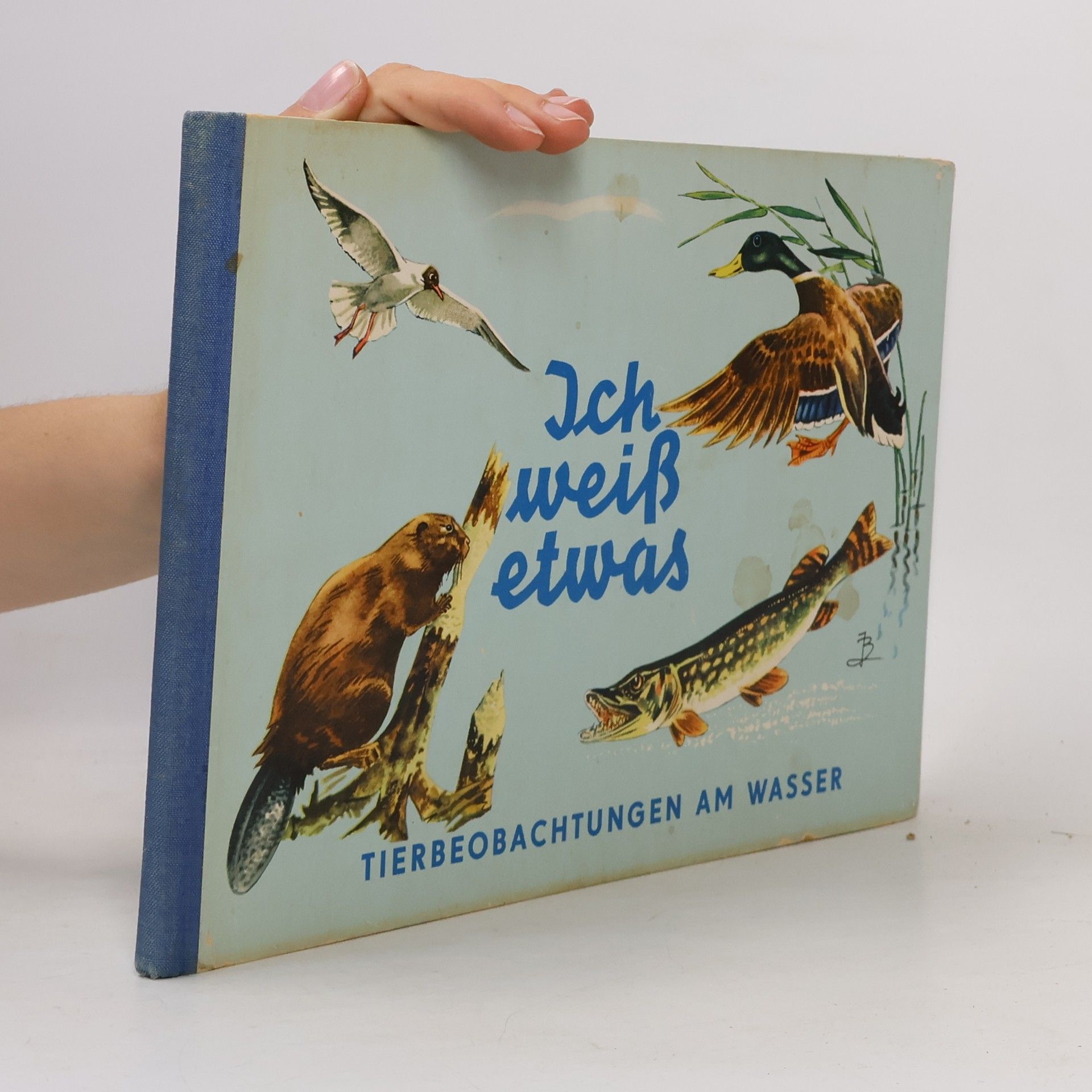 Autores varios Ich weiß etwas