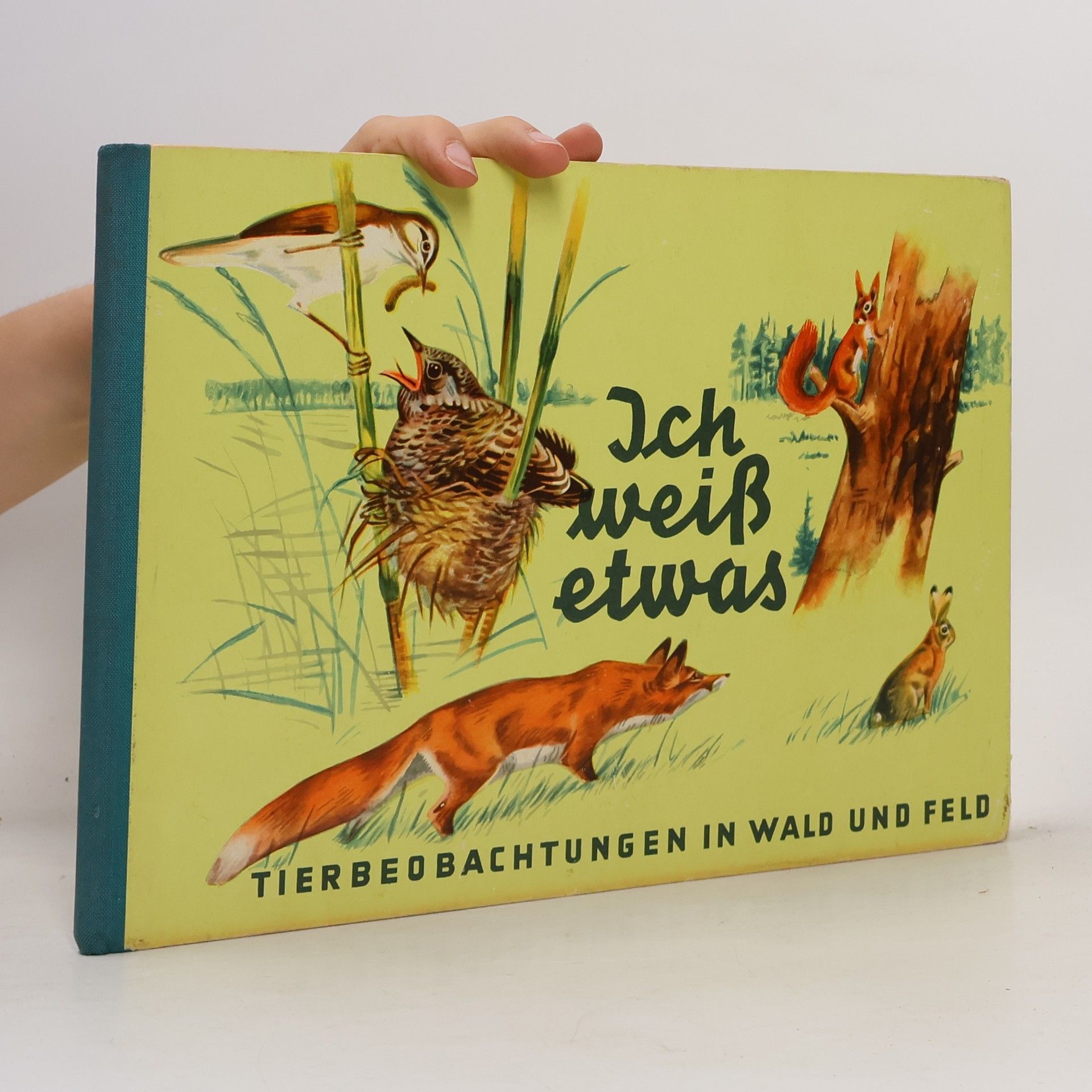Autorenkollektiv Ich weiß etwas