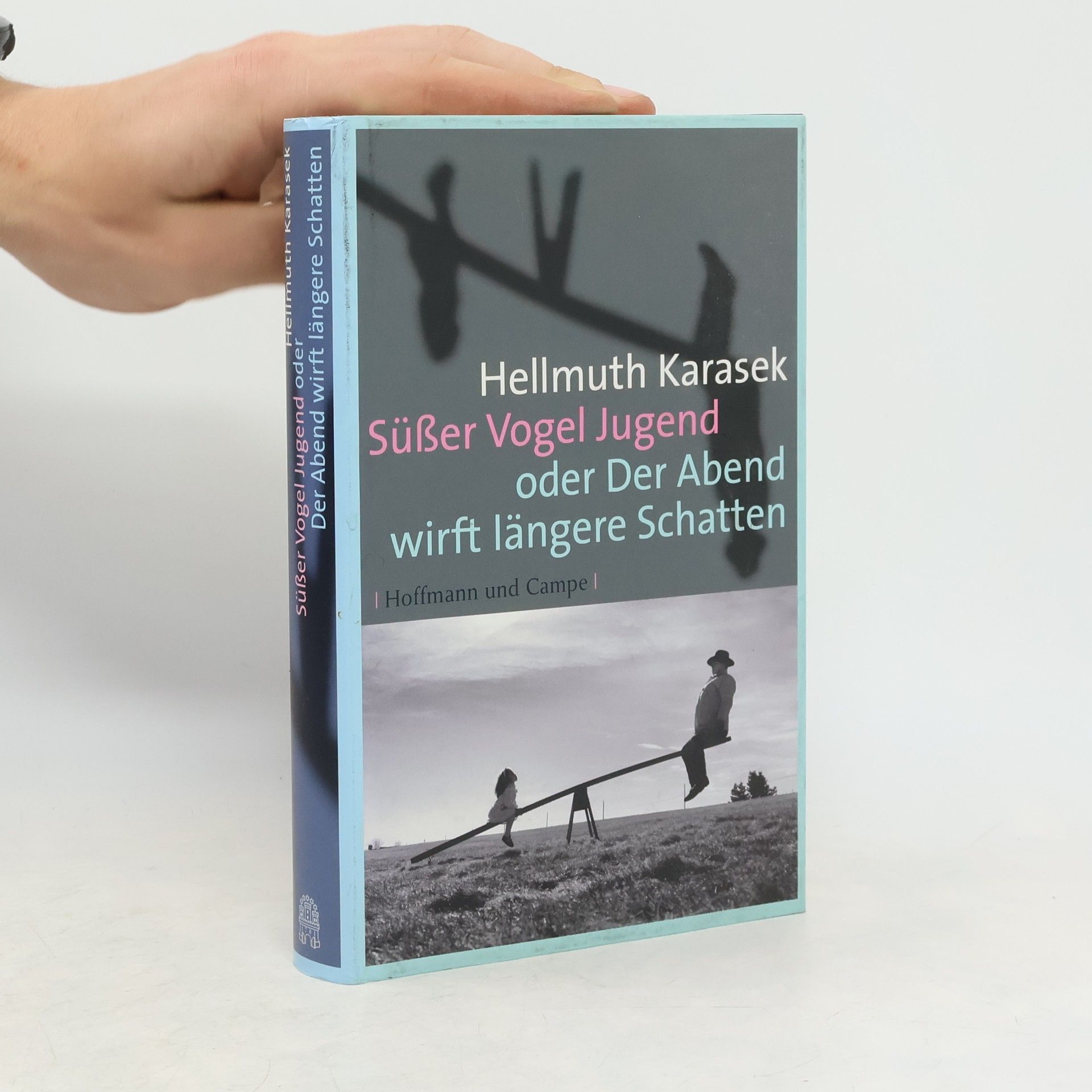 Hellmuth Karasek Süßer Vogel Jugend oder Der Abend wirft längere Schatten