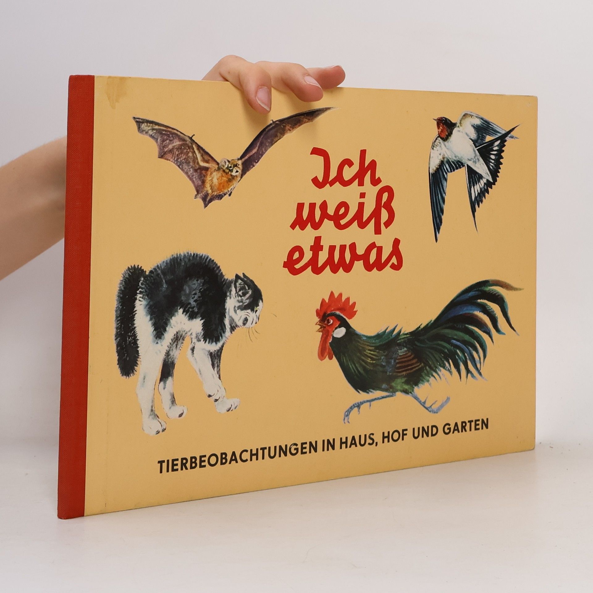 Autorenkollektiv Ich weiß etwas