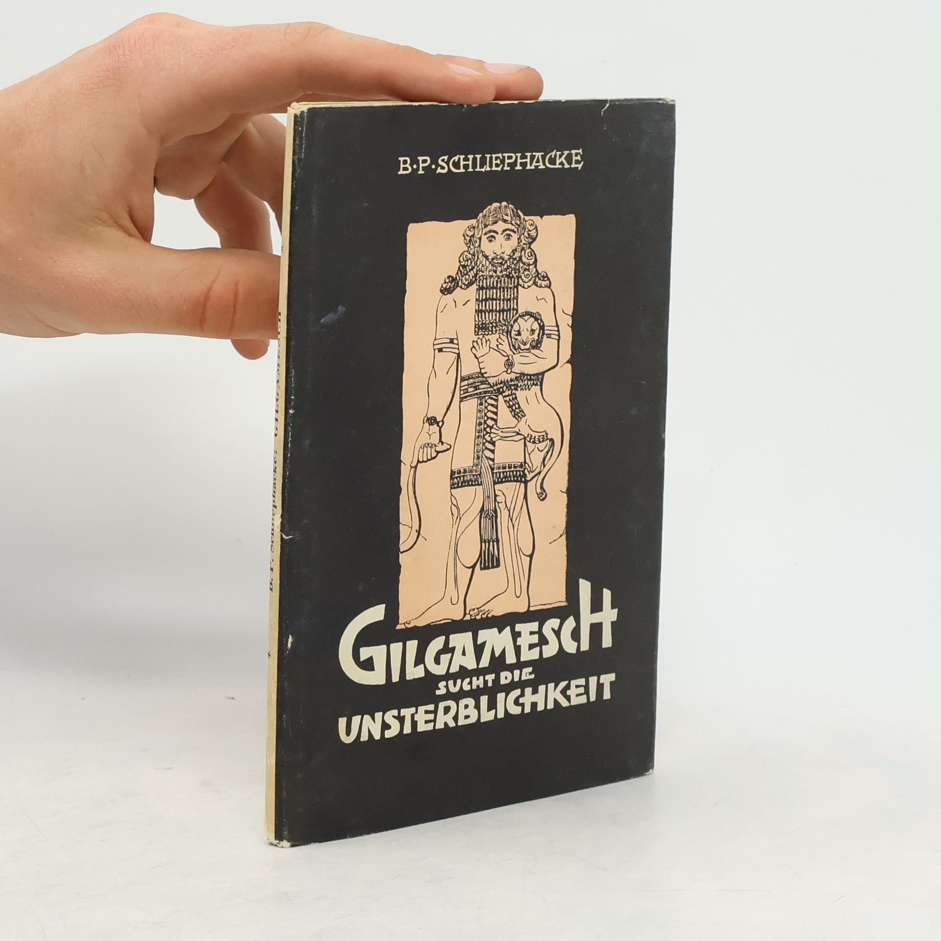 Bruno P. Schliephacke Gilgamesch sucht die Unsterblichkeit