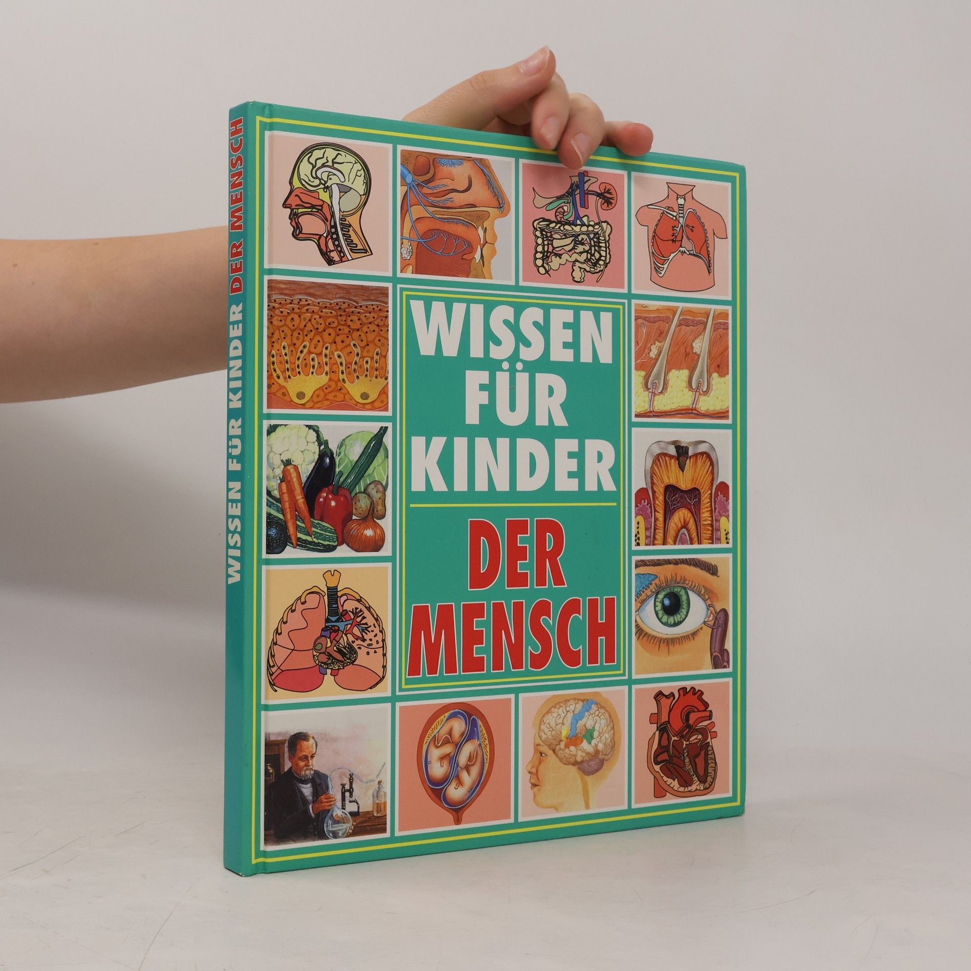 Wissen für Kinder. Der Mensch