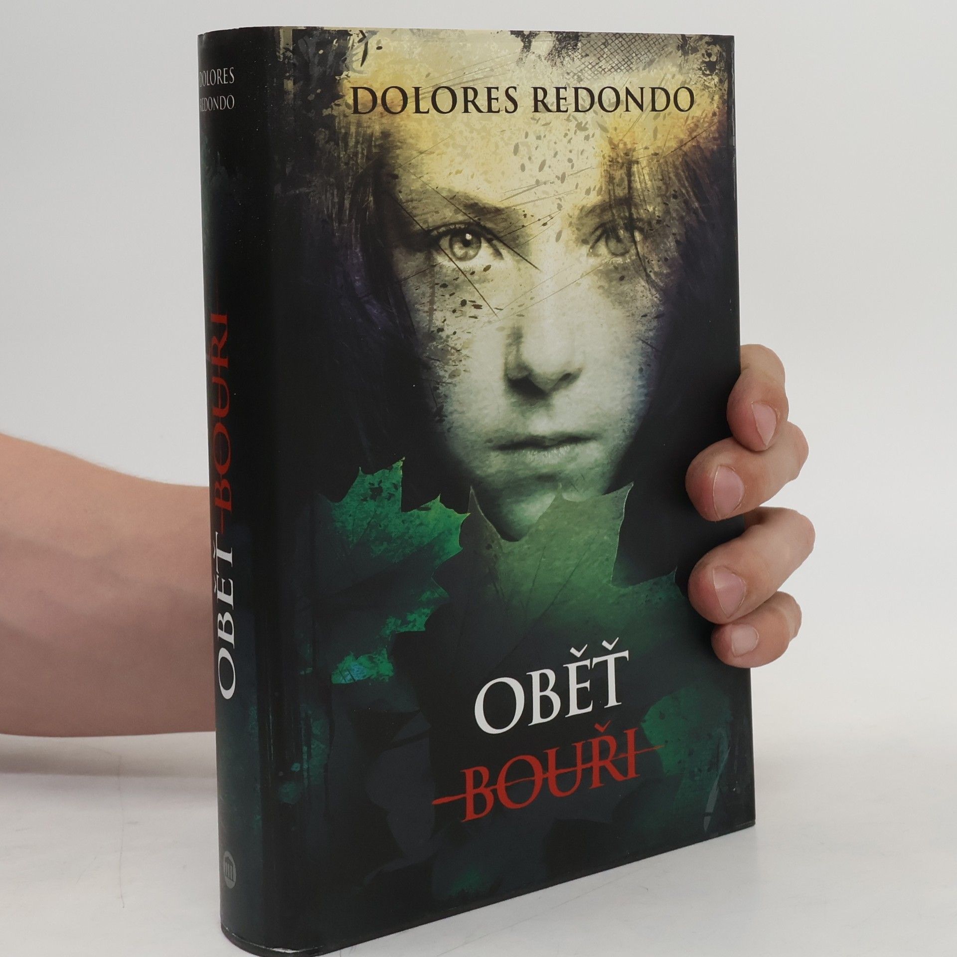Dolores Redondo Oběť bouři