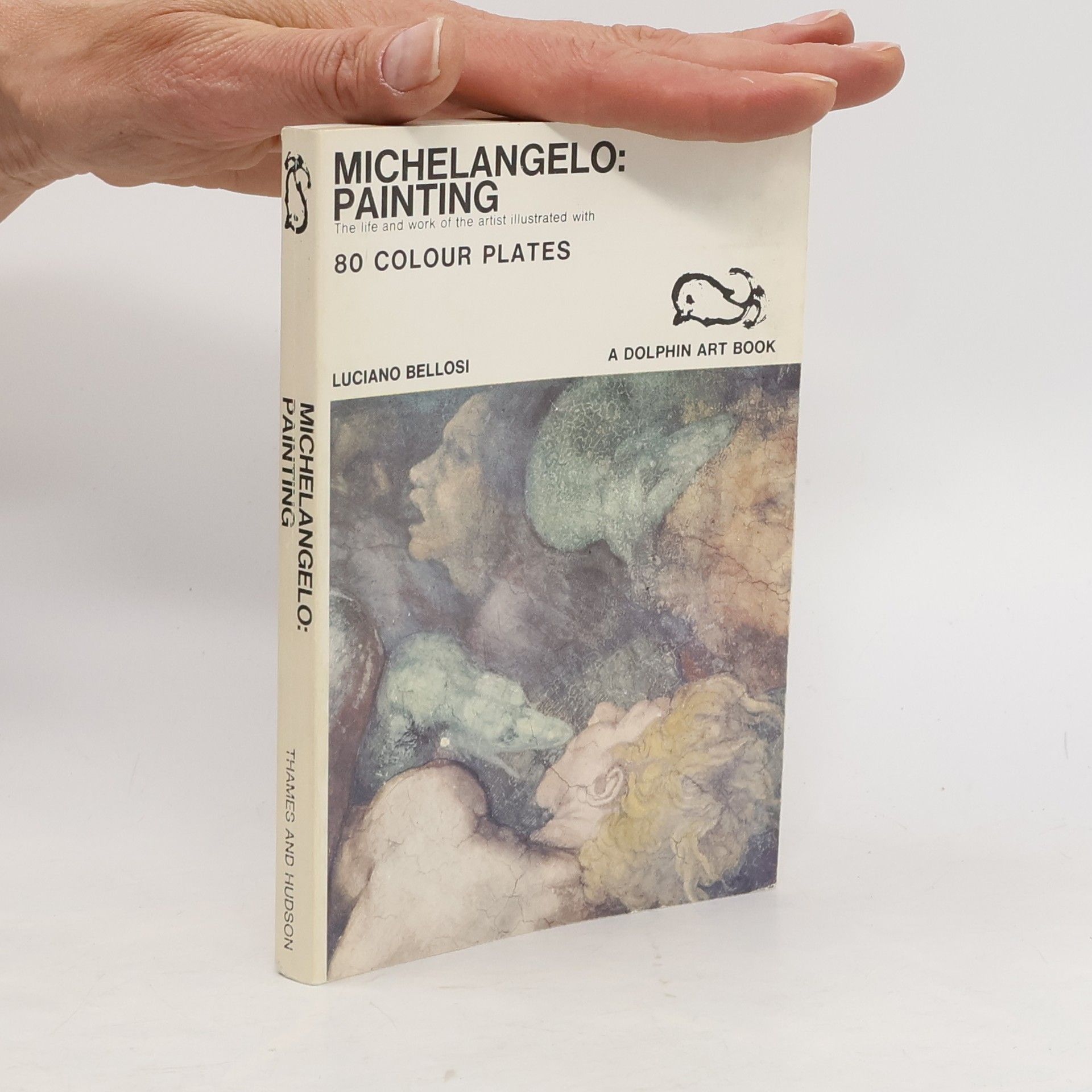Luciano Bellosi Michelangelo. Painting.