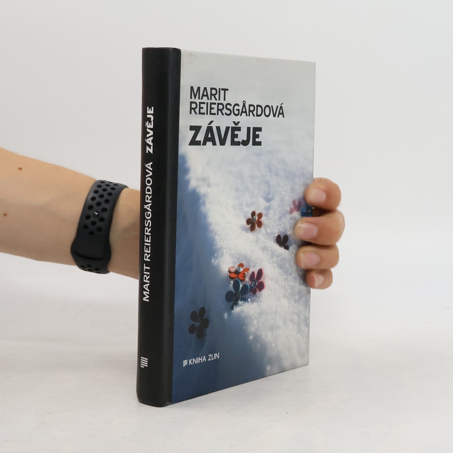 Marit Reiersgård Bredesen Závěje