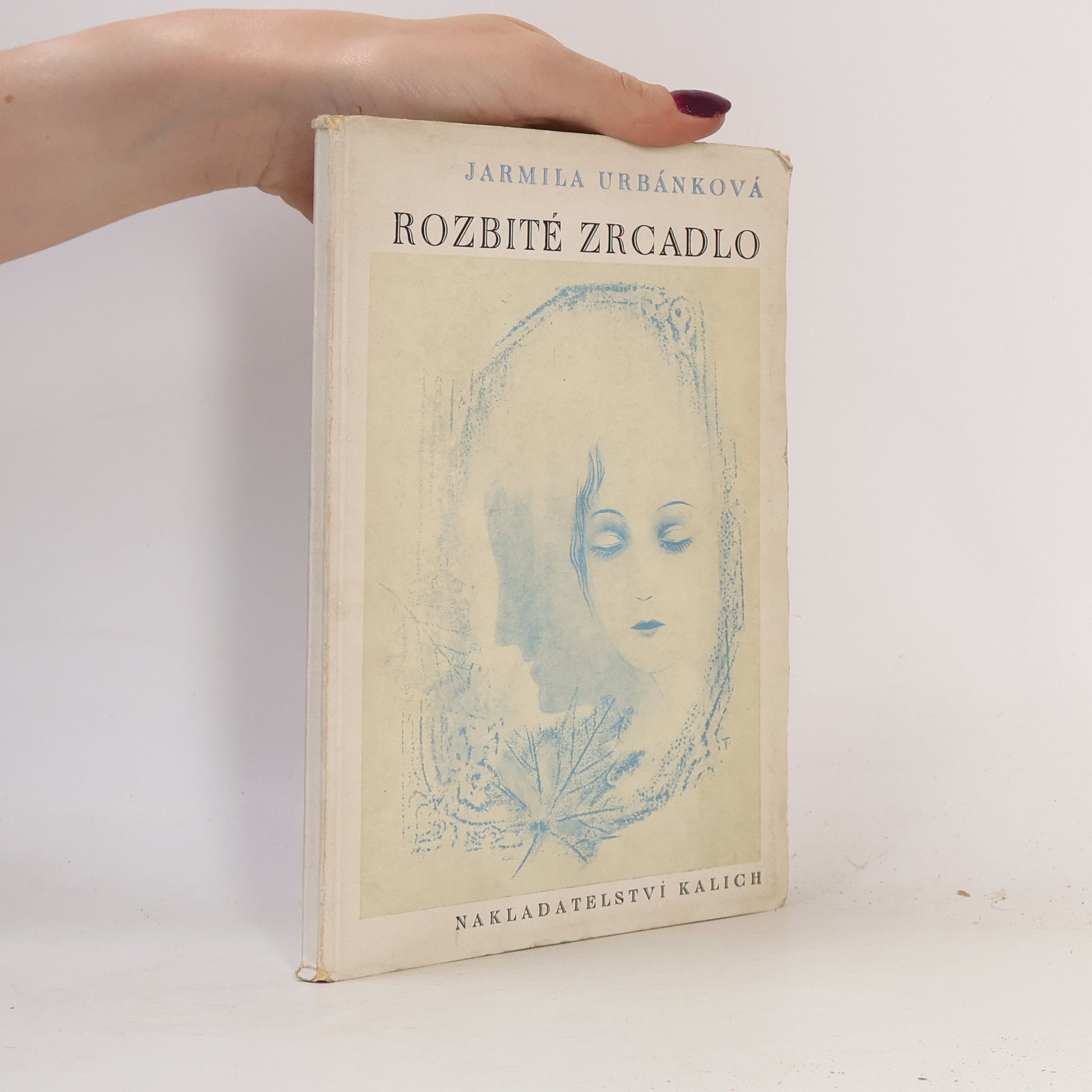 Rozbité zrcadlo