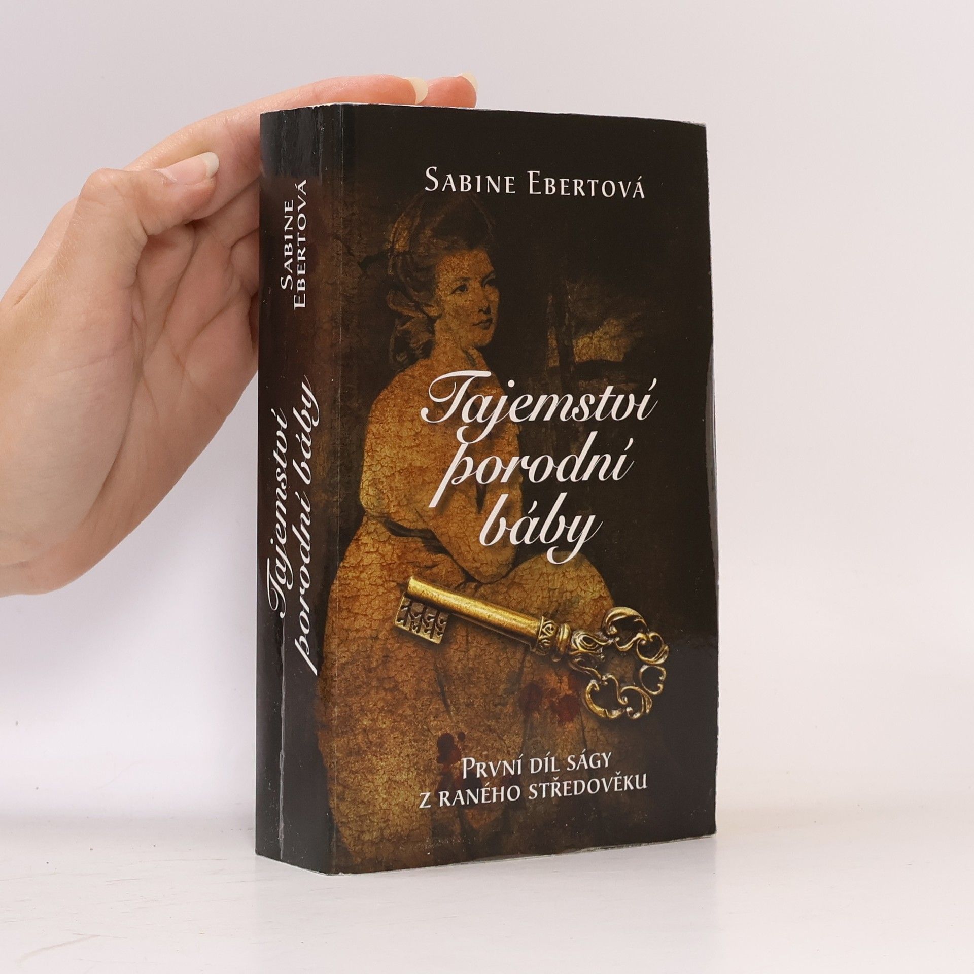 Sabine Ebertová Tajemství porodní báby
