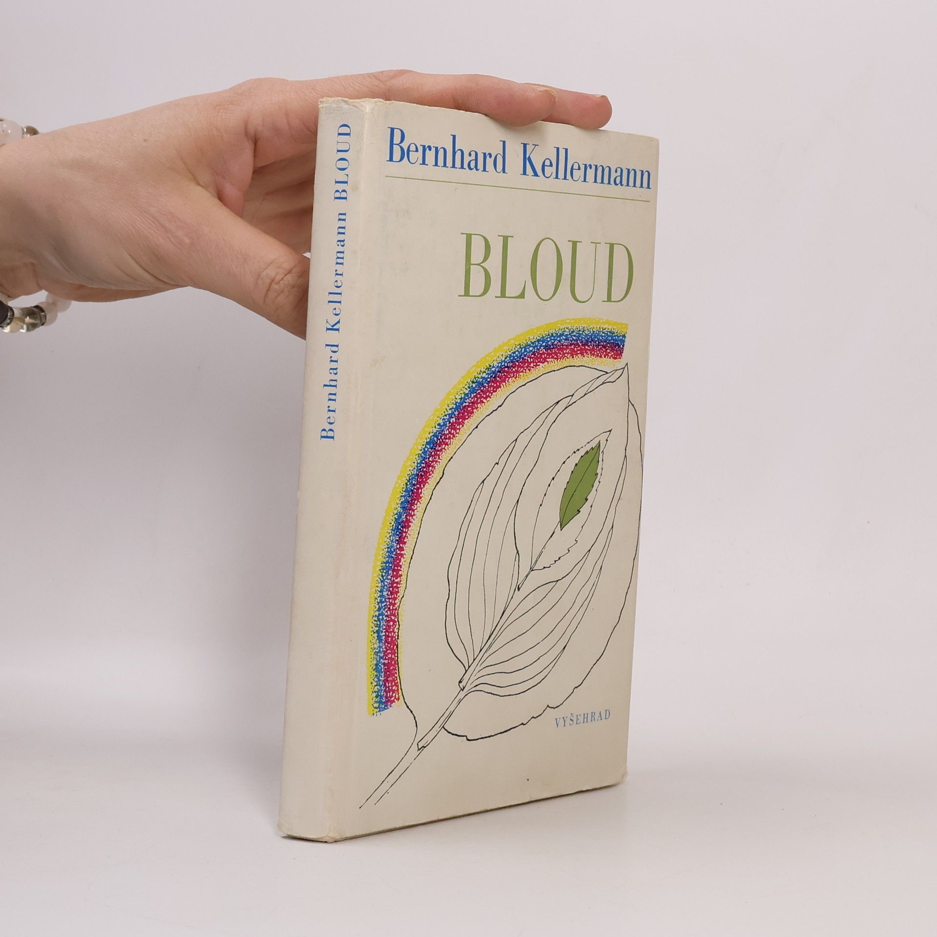 Bernhard Kellermann Bloud