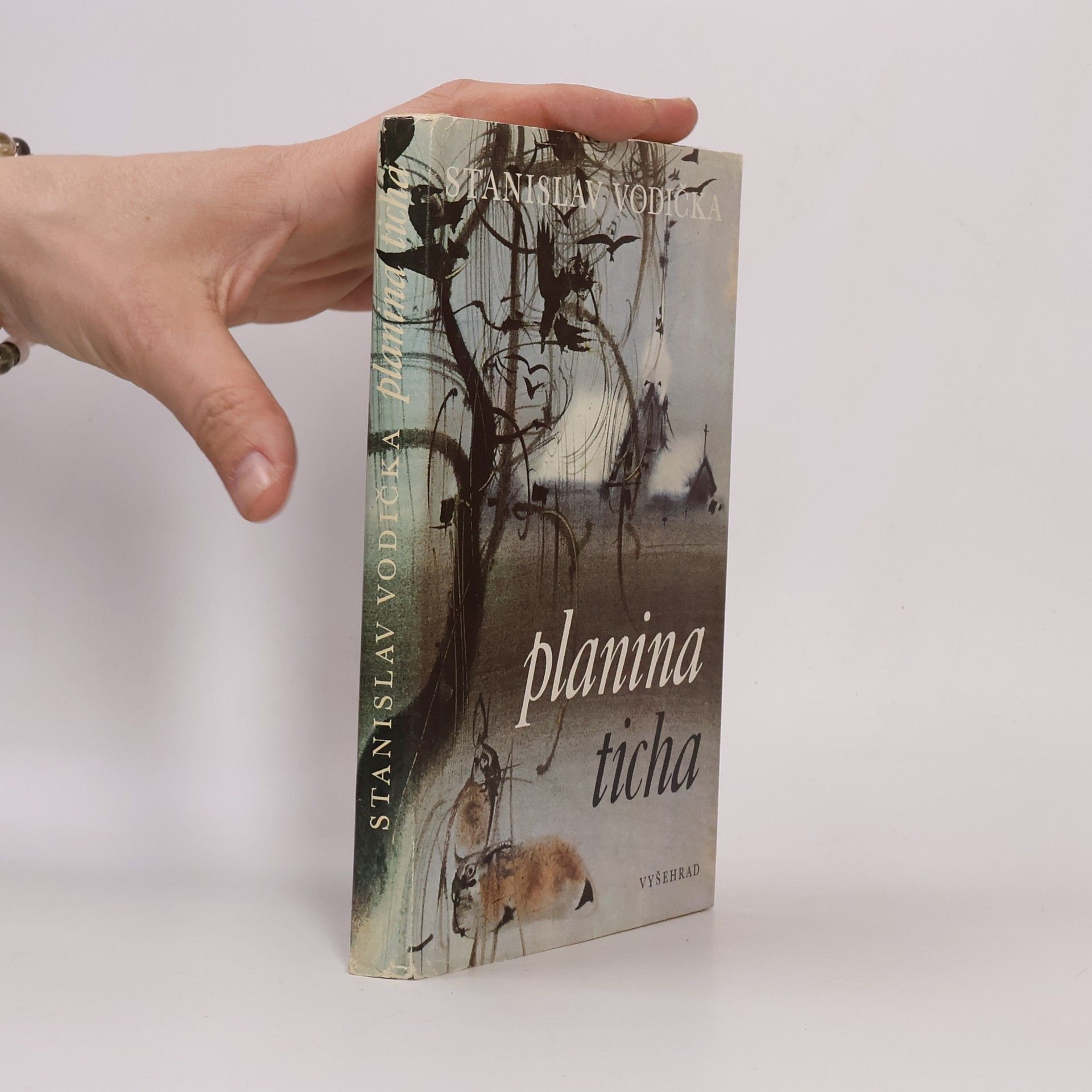 Stanislav Vodicka Planina ticha