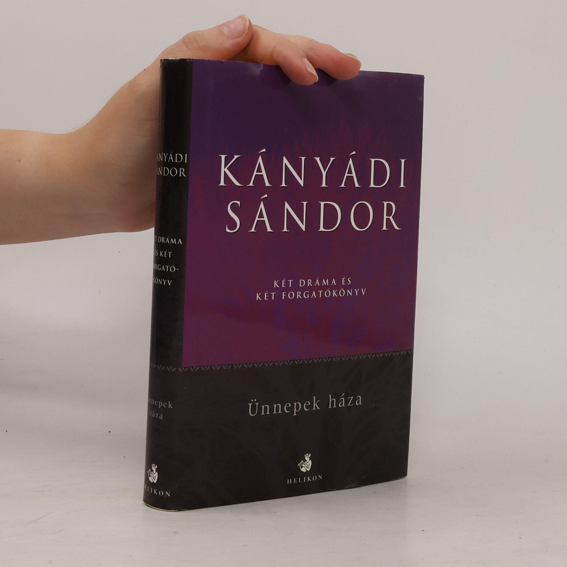 Sándor Kányádi Ünnepek háza