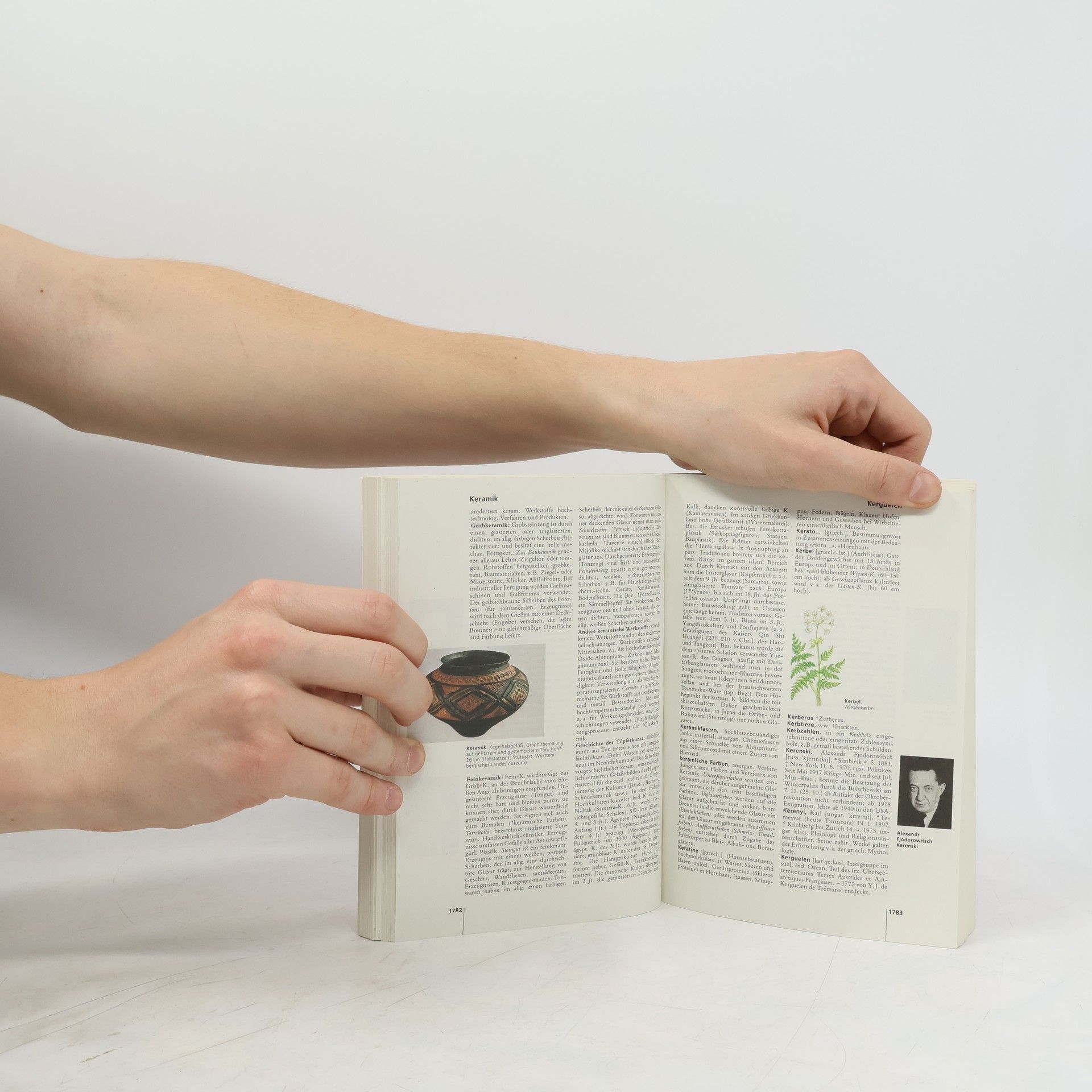 Autorenkollektiv Meyers Taschen-Lexikon 5