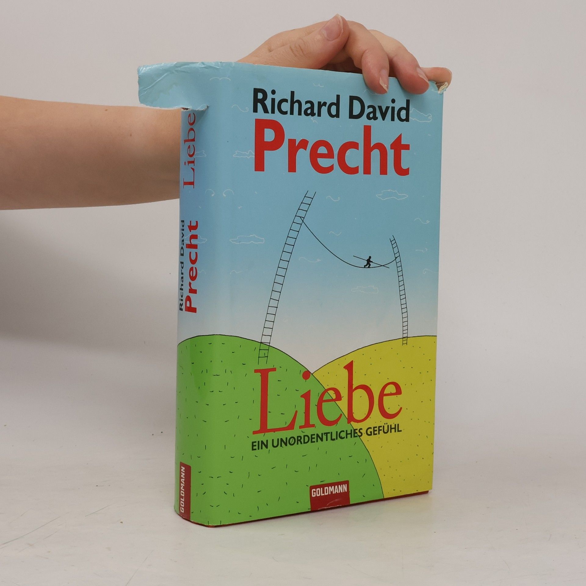 Richard David Precht Liebe ein Unordentliches Gefühl