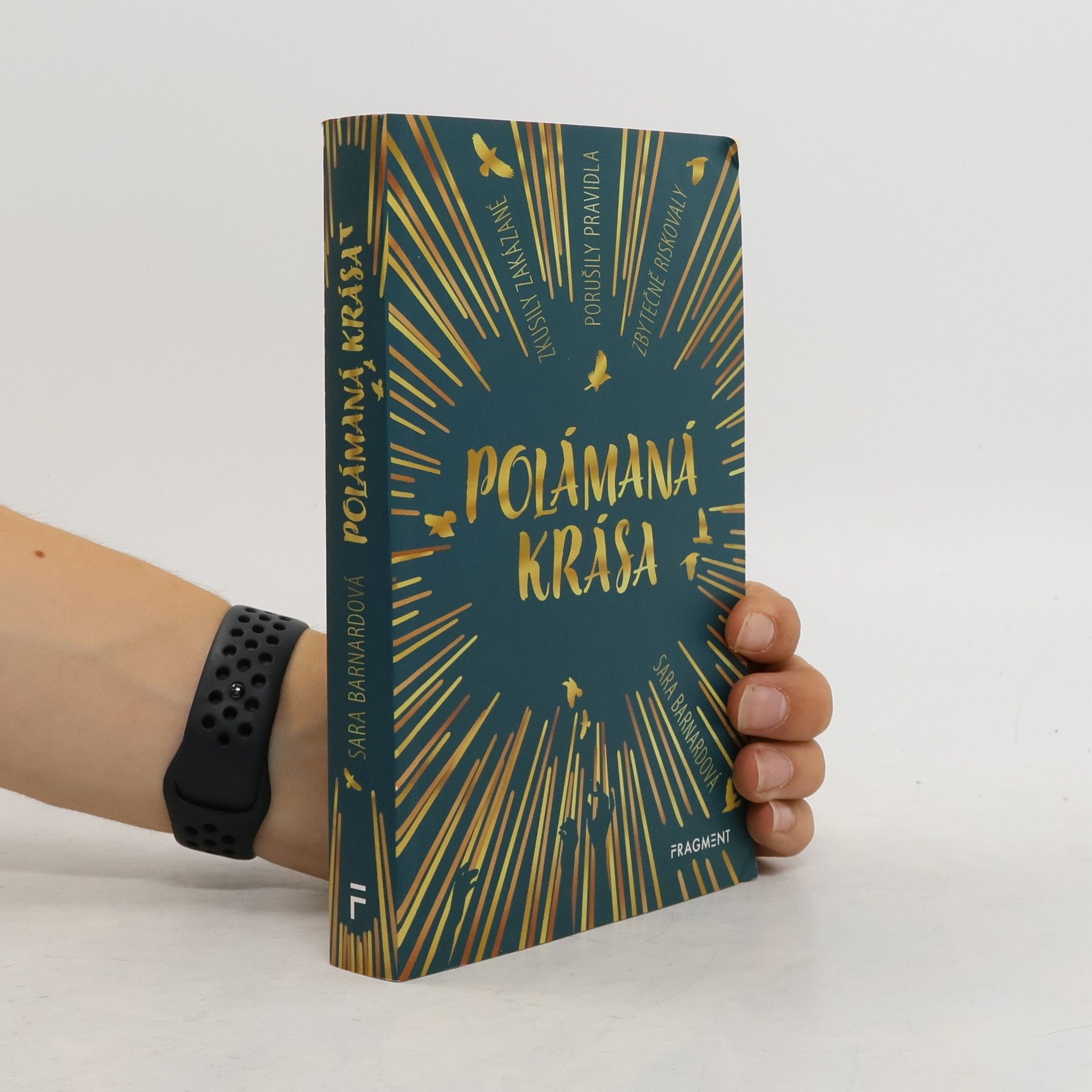 Sara Barnard Polámaná krása