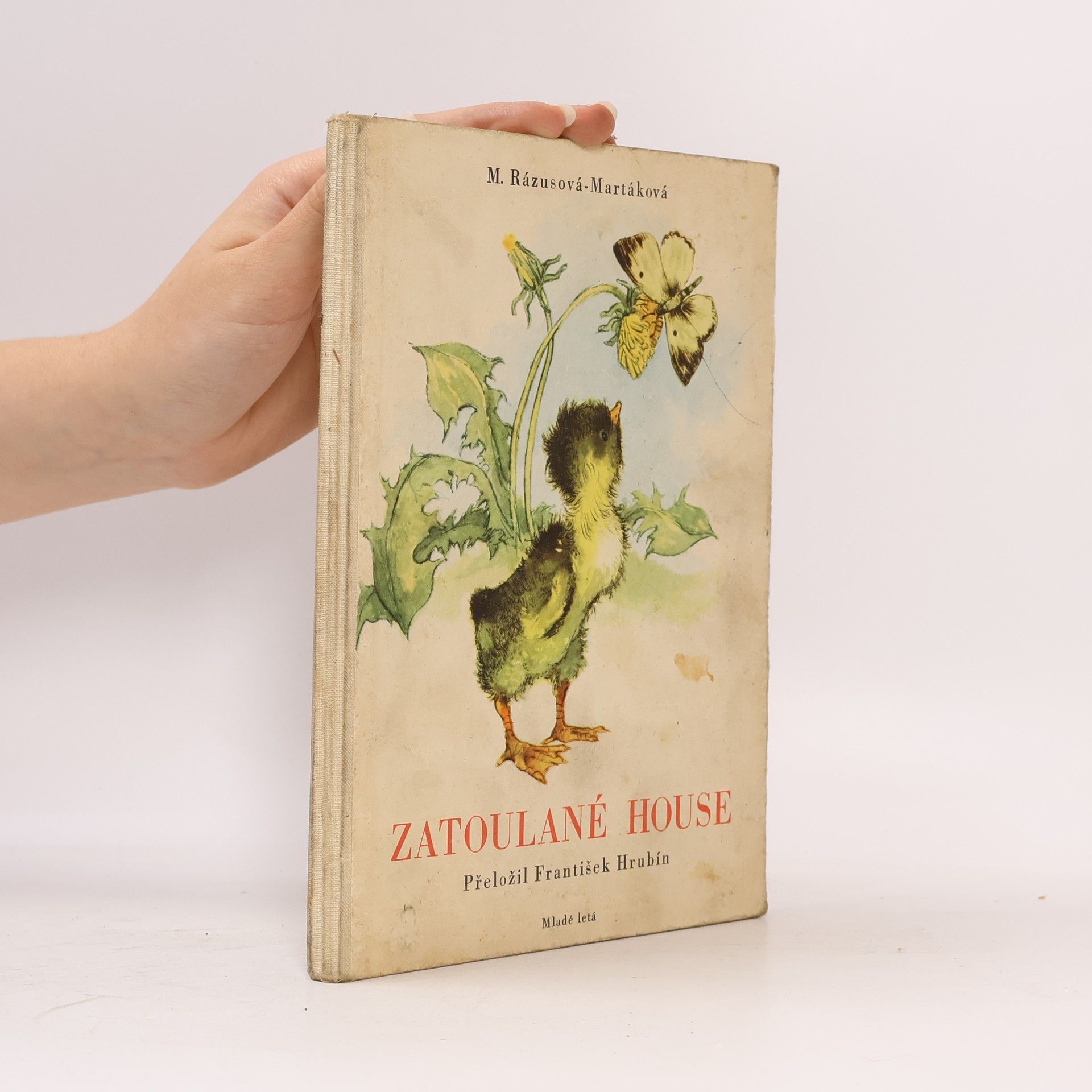 Ladislav Nesselman Zatoulané house
